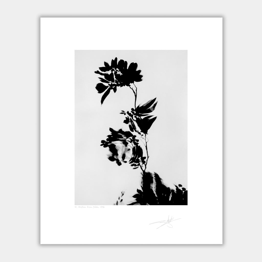 St Stephens Green Dublin 1996