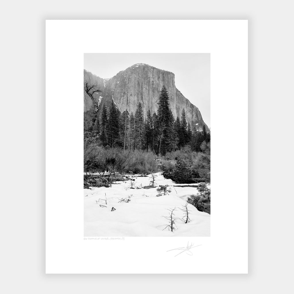 The Remains of Winter