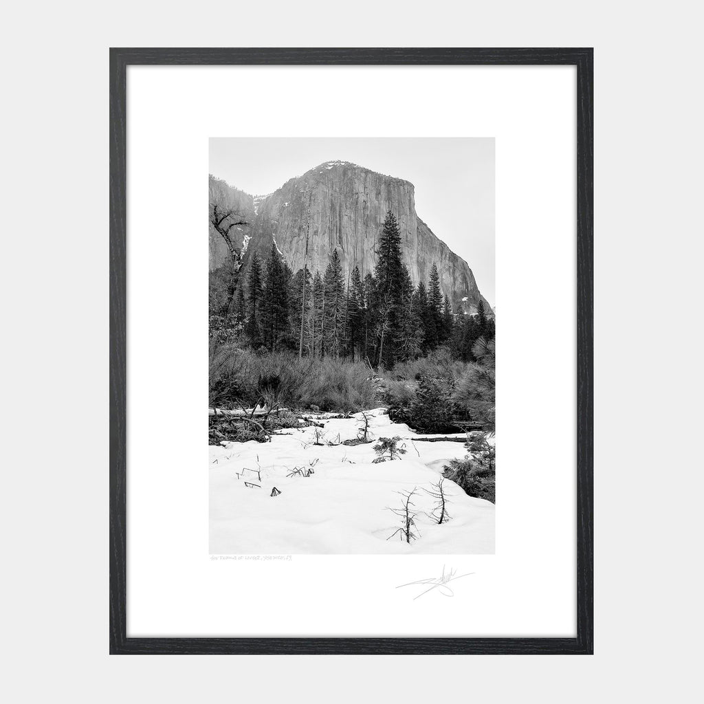 The Remains of Winter