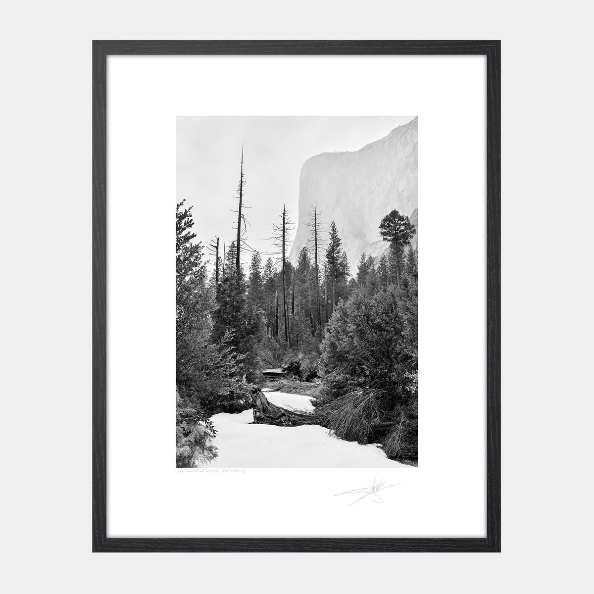 The Remains of Winter