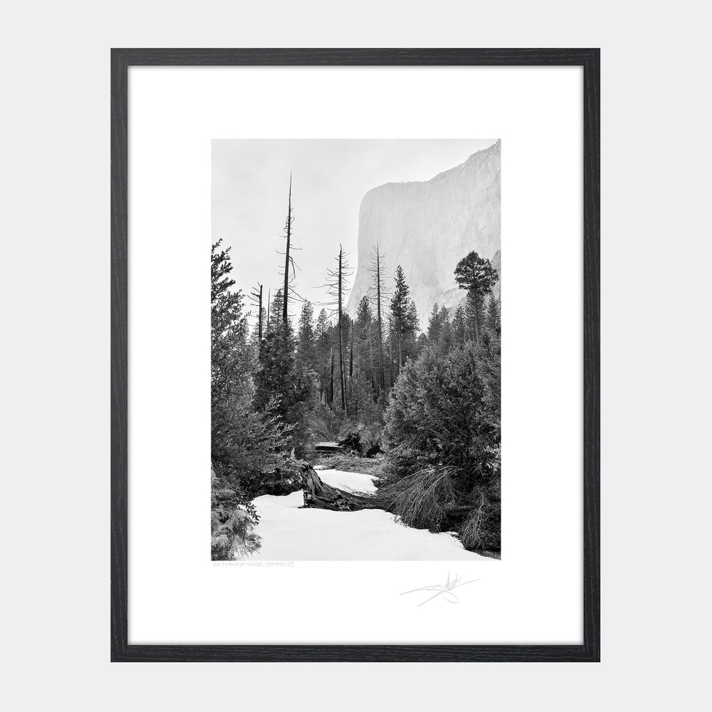 The Remains of Winter