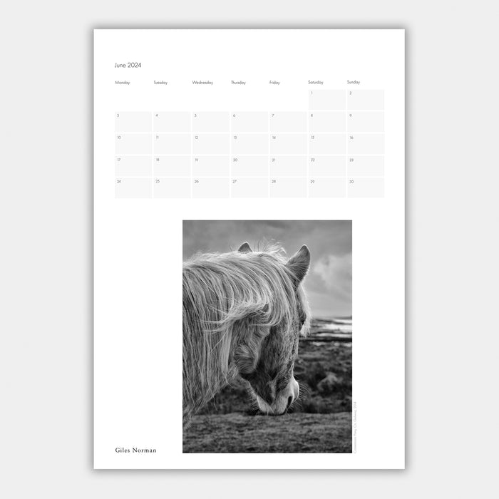 Ireland Calendar