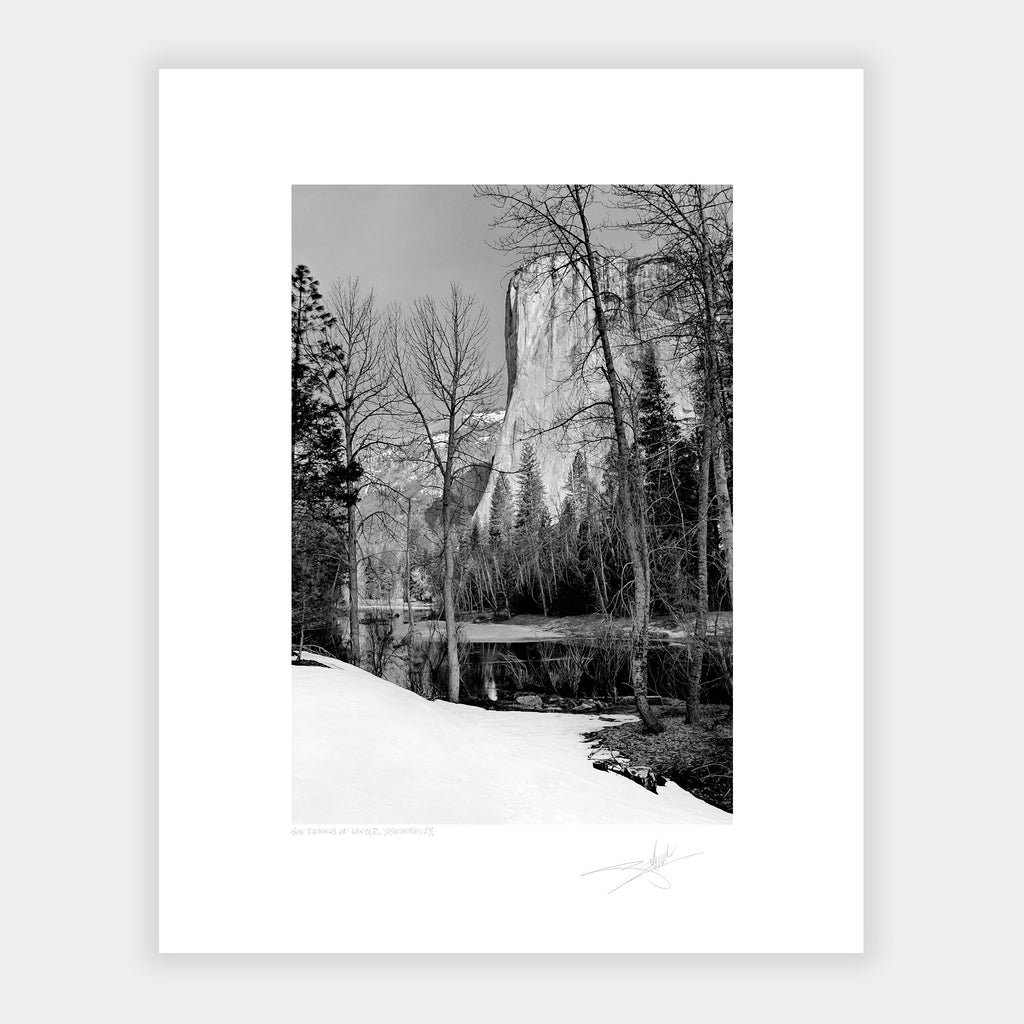 The Remains of Winter