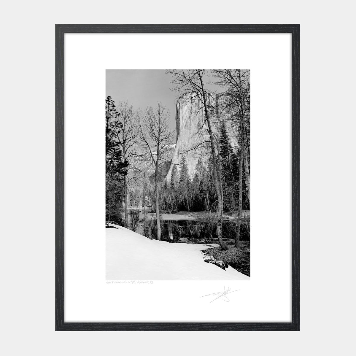 The Remains of Winter