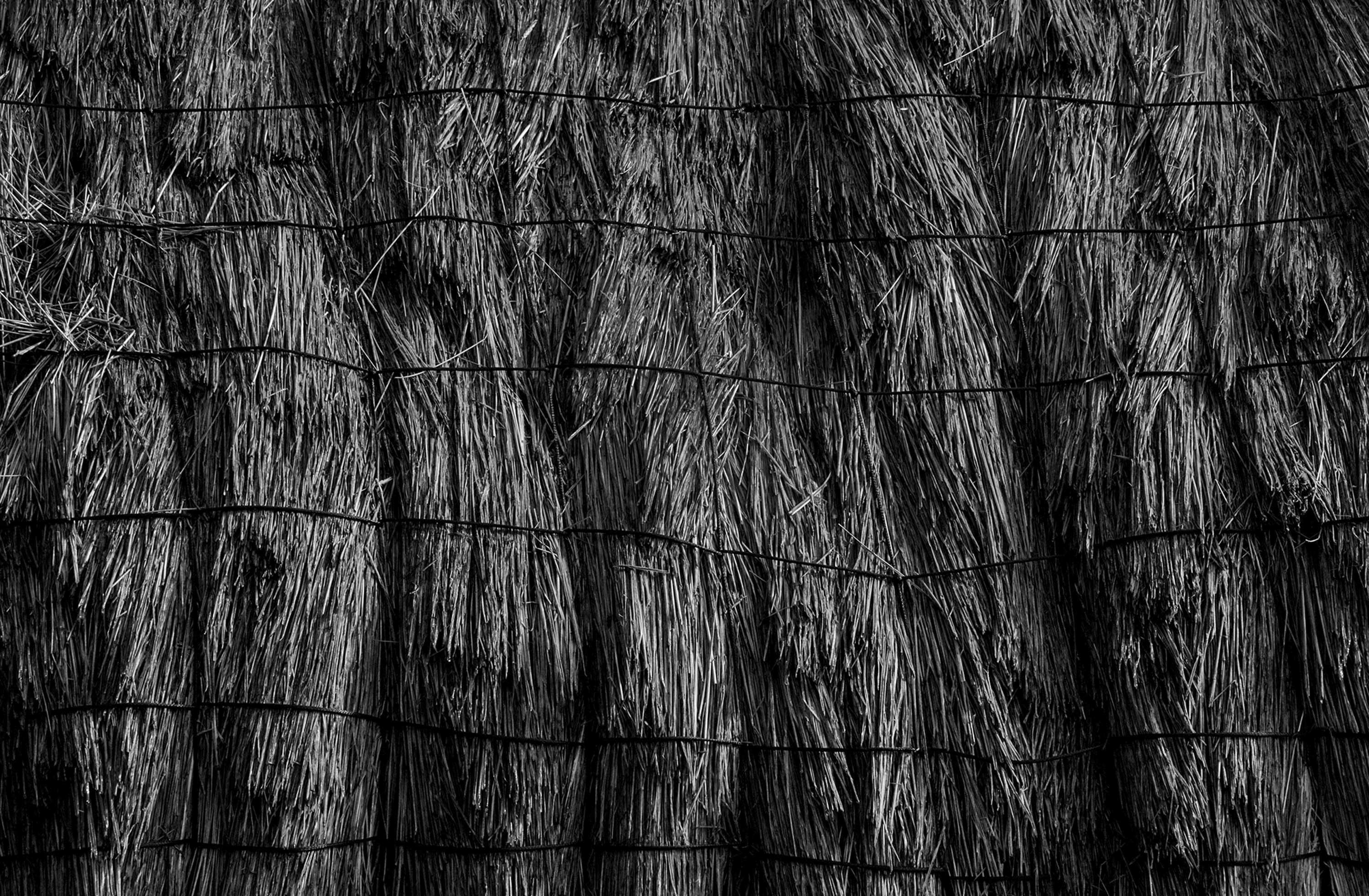 Thatch