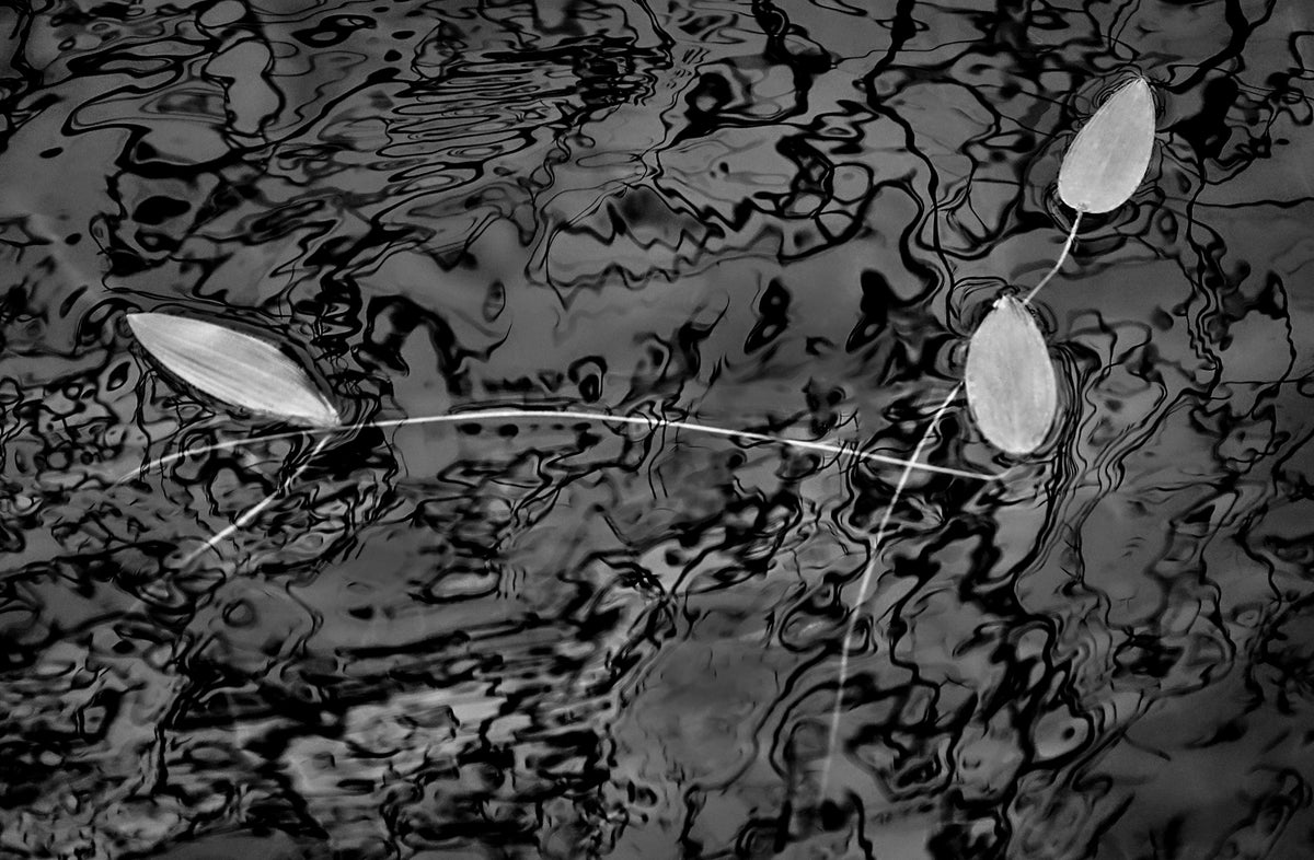 Water Leaves — Black & White Photography by Giles Norman