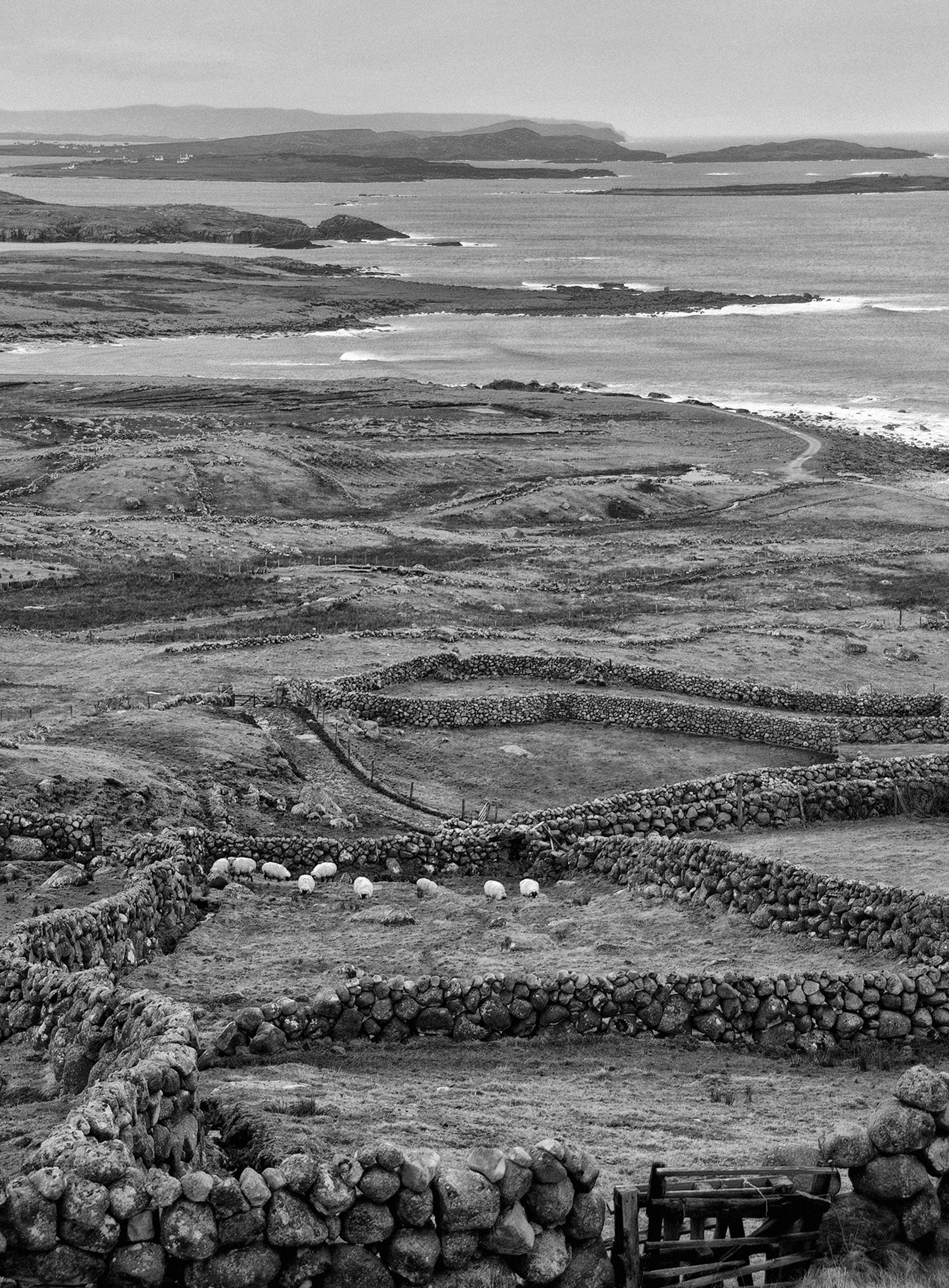 Donegal Coastline