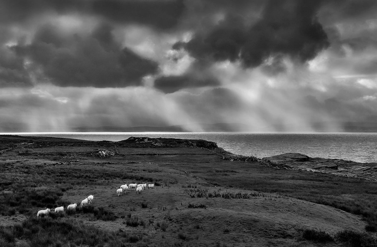 Donegal Coastline, 2022