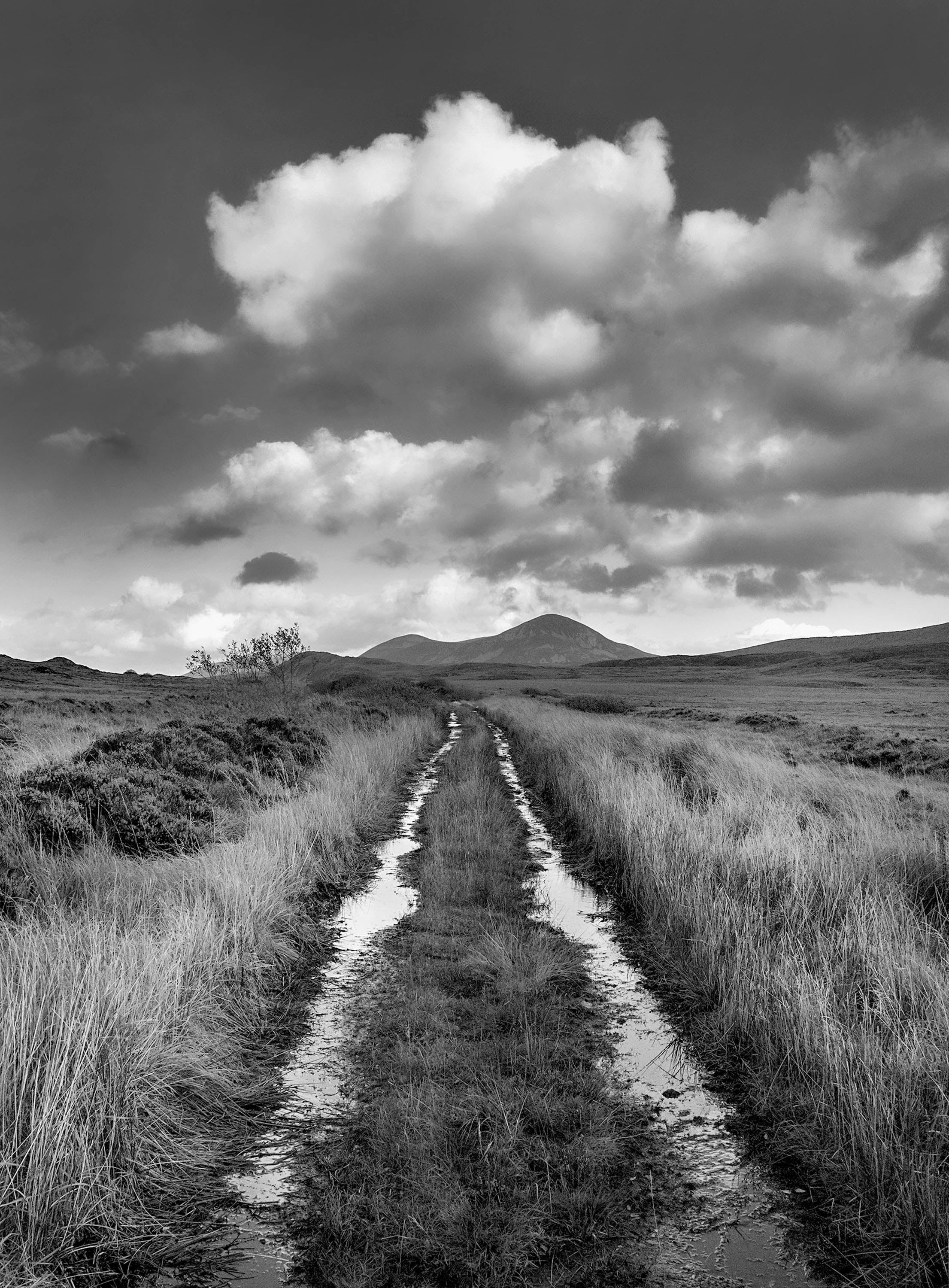 Bog Road, Donegal, 2022