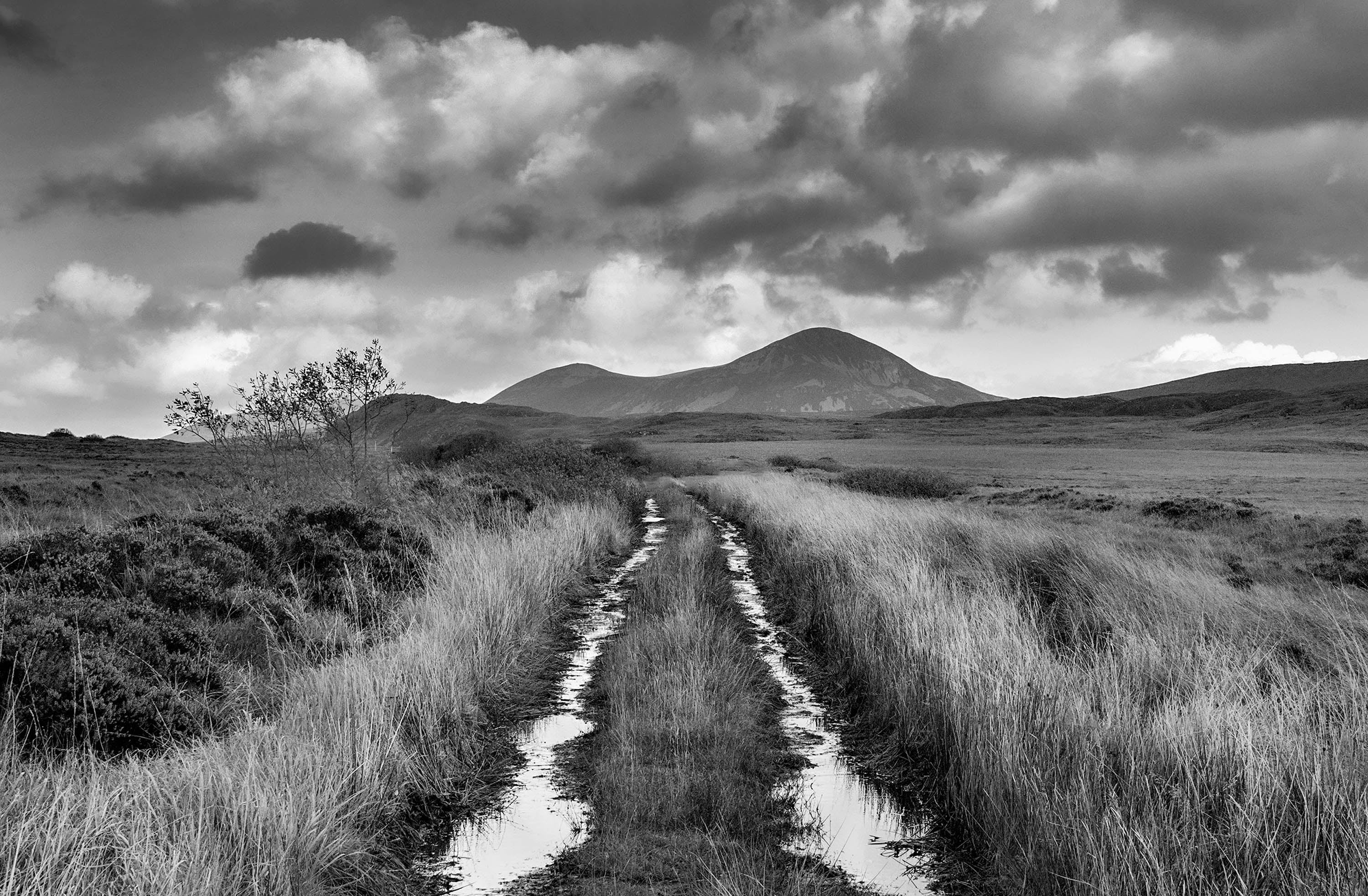 Sunburst, Donegal, 2022