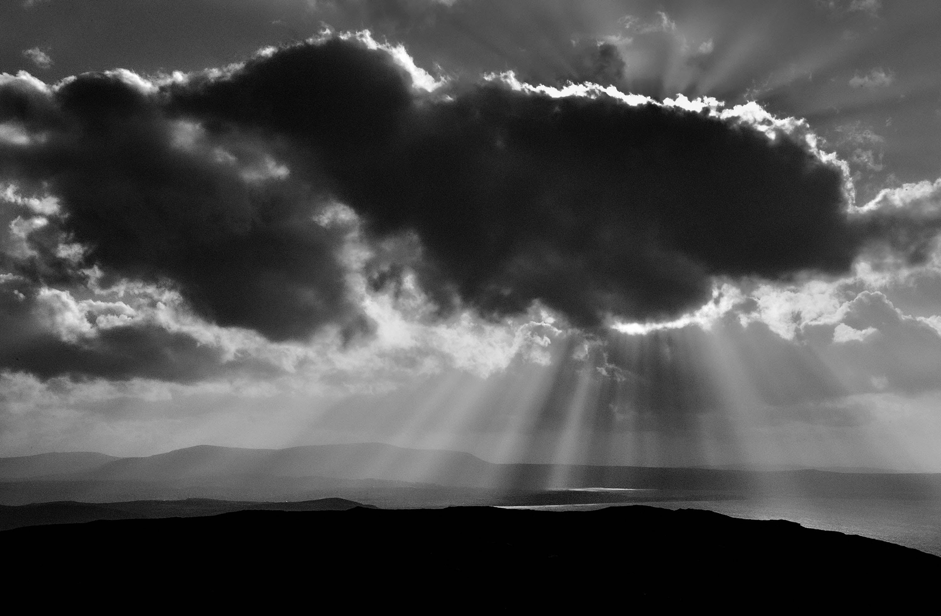 Donegal Sunburst, 2022