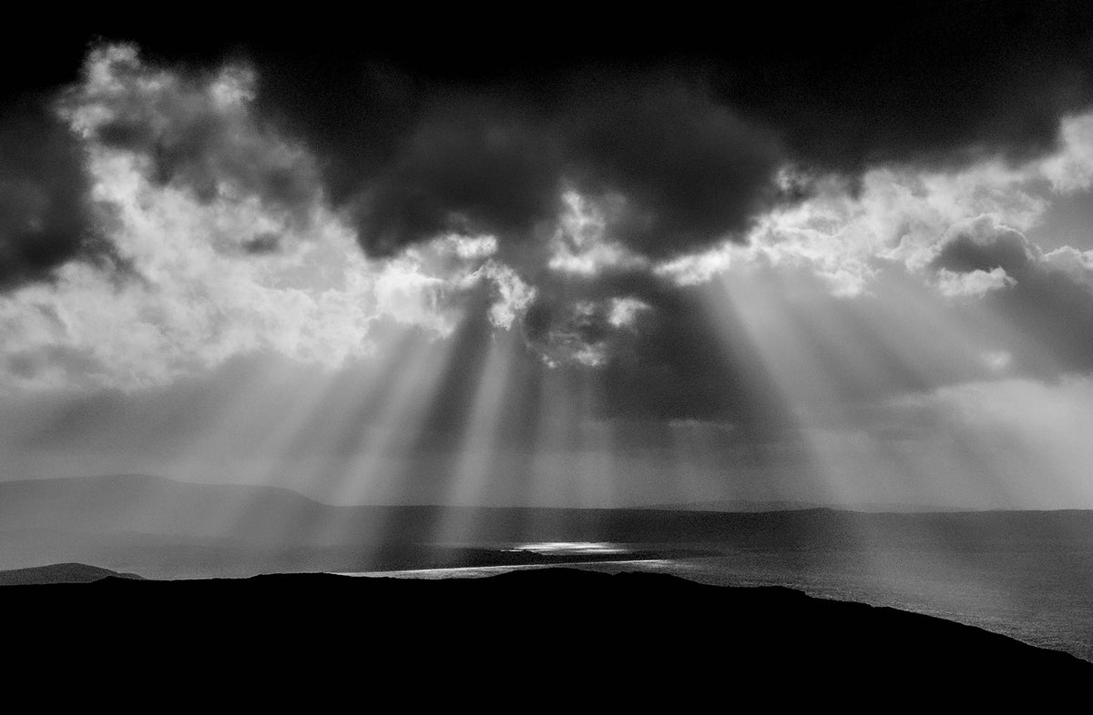 Donegal Sunburst, 2022