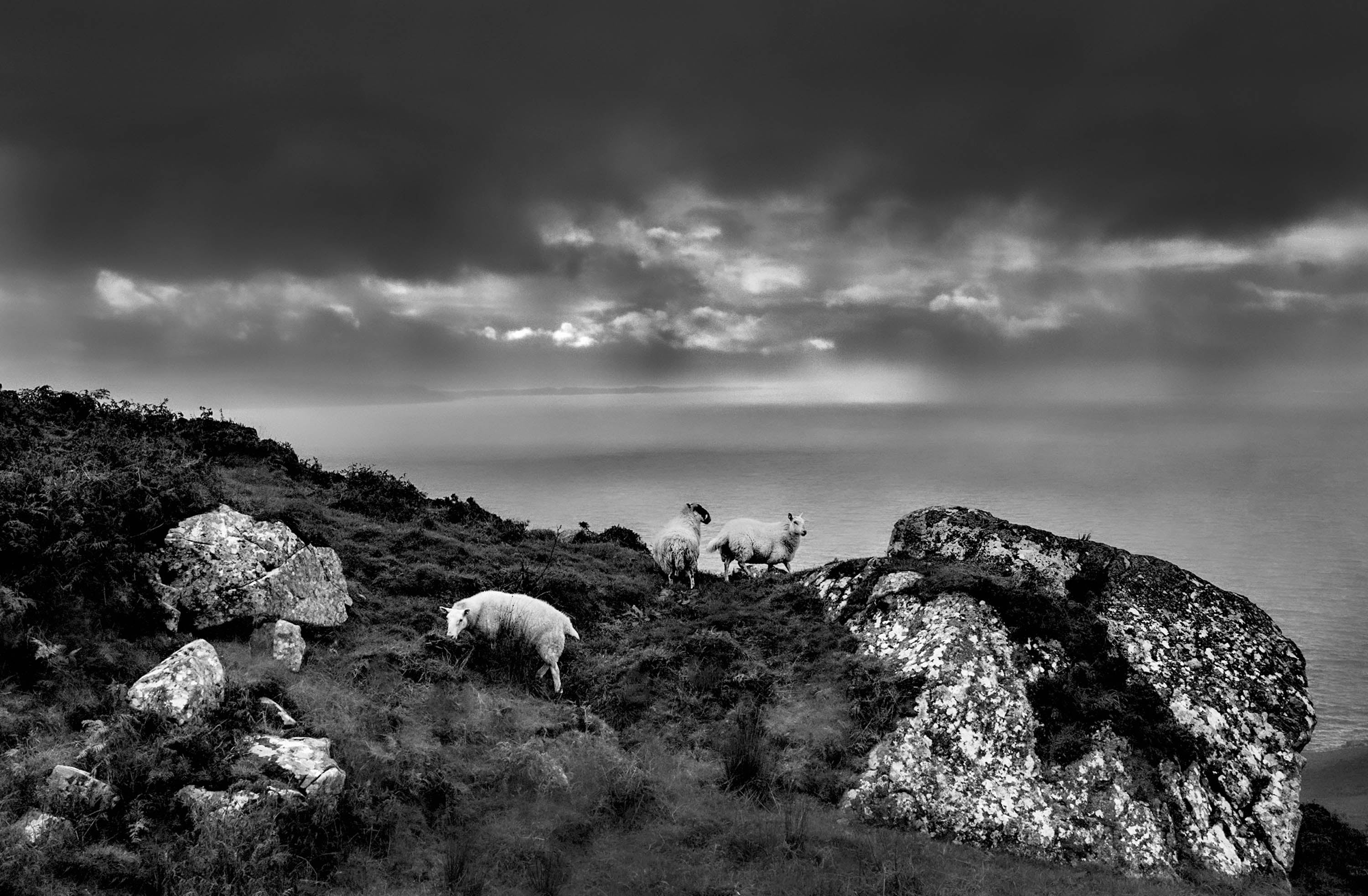 Crohy head, Donegal, 2022
