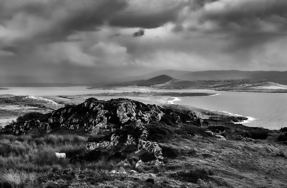Crohy Head, Donegal 2022