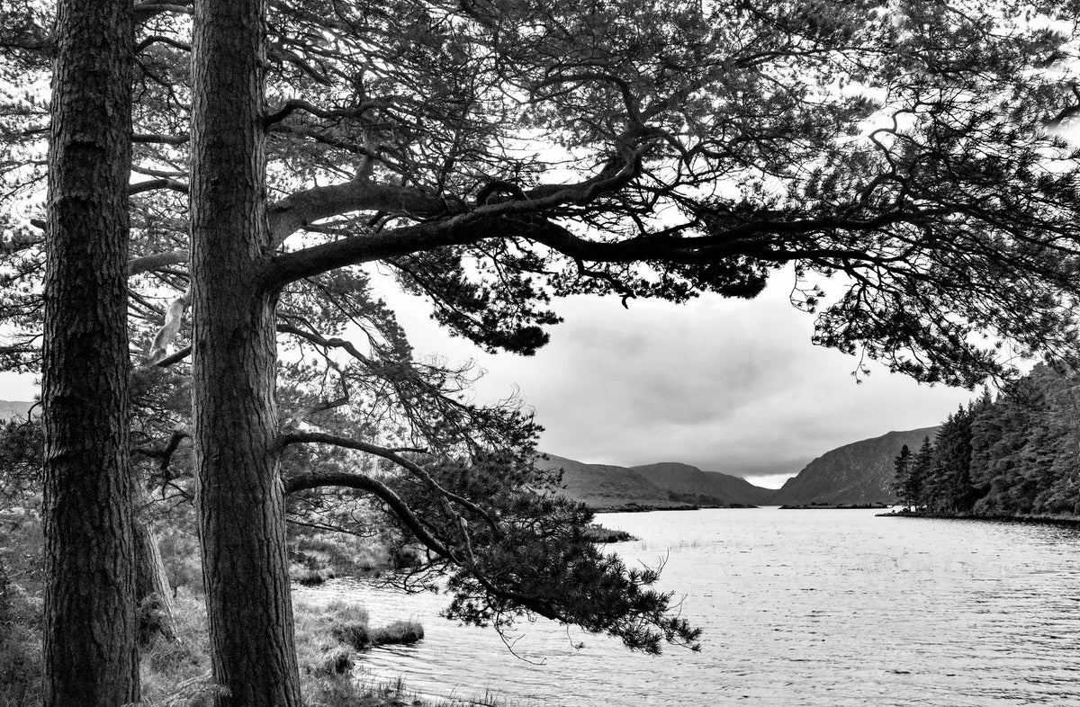 Glenveagh, Donegal, 2022
