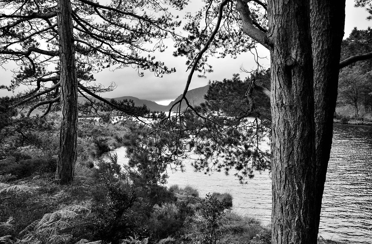 Glenveagh, Donegal, 2022