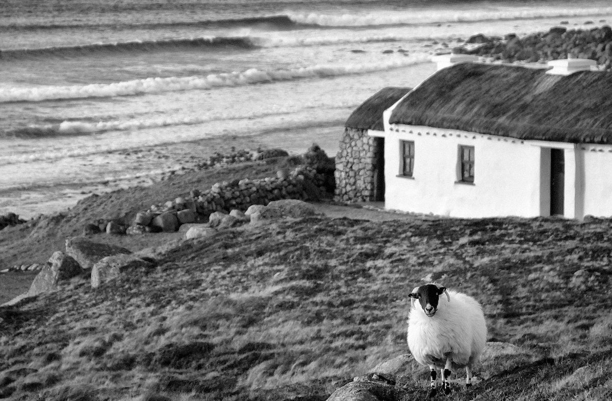 Donegal Cottage