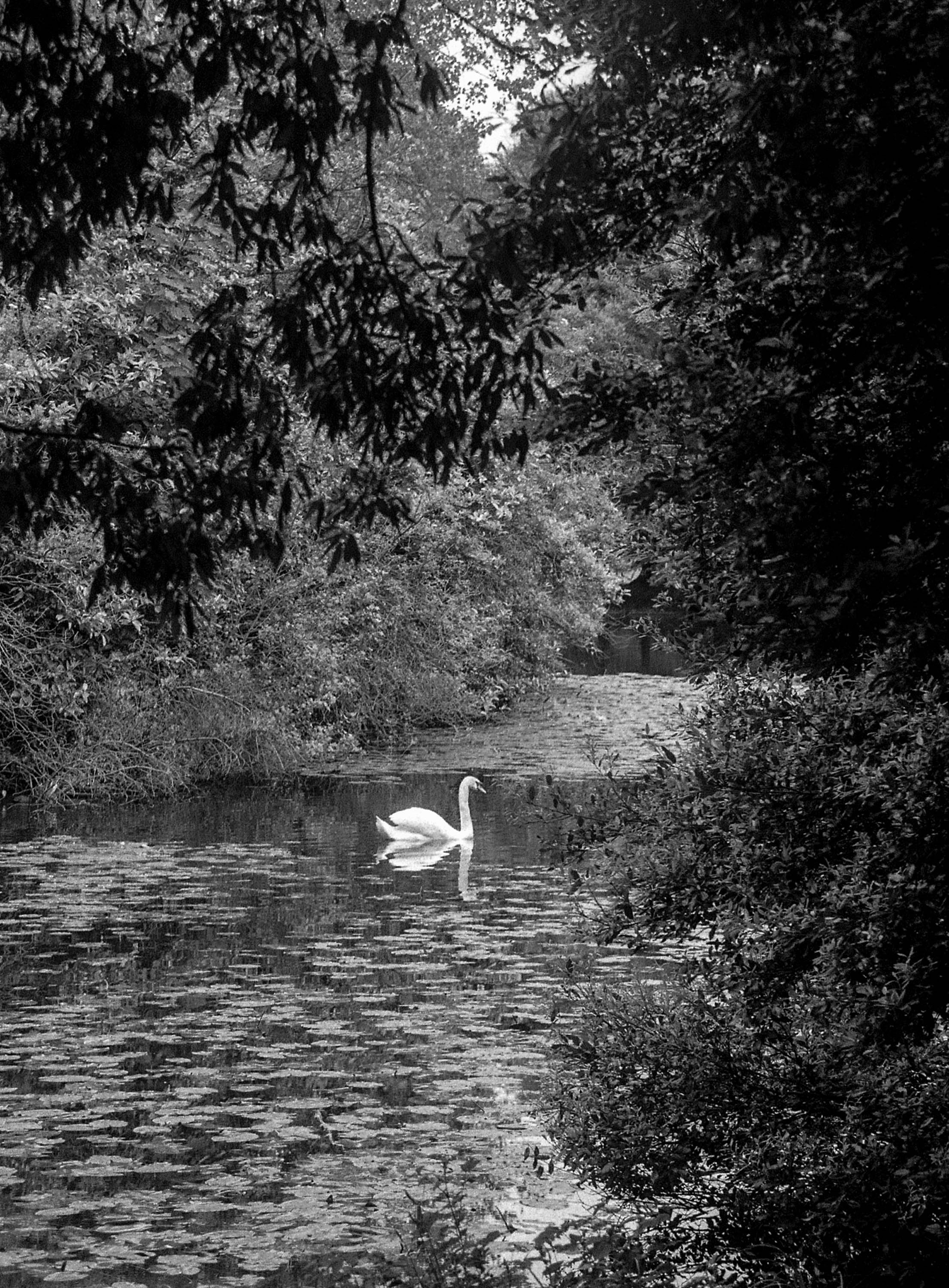 Phoenix Park