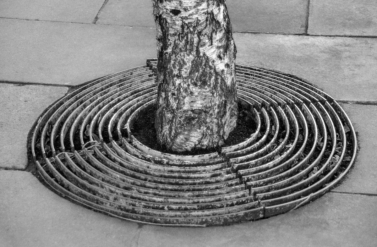 Dublin Detail