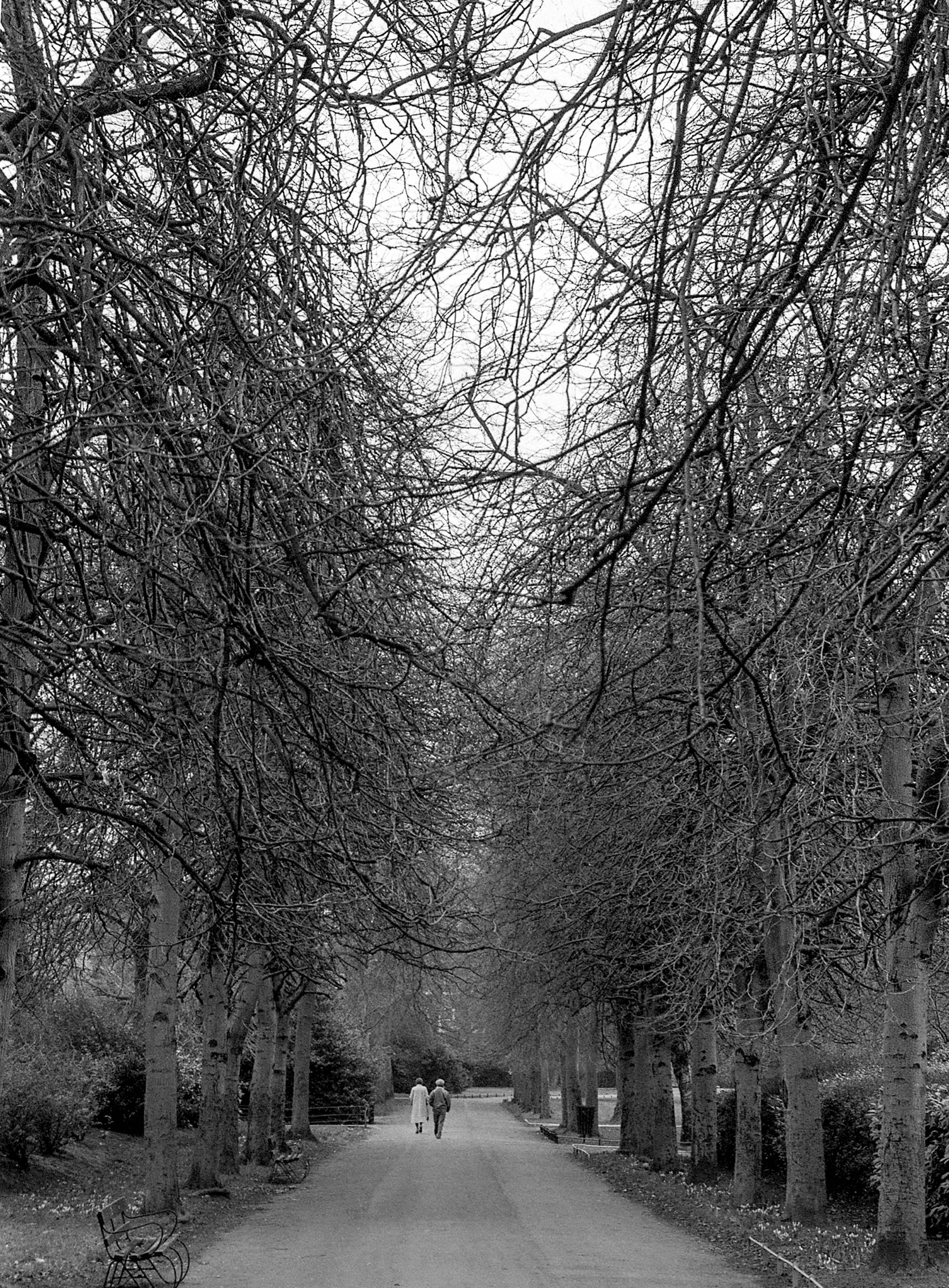 St Stephens Green