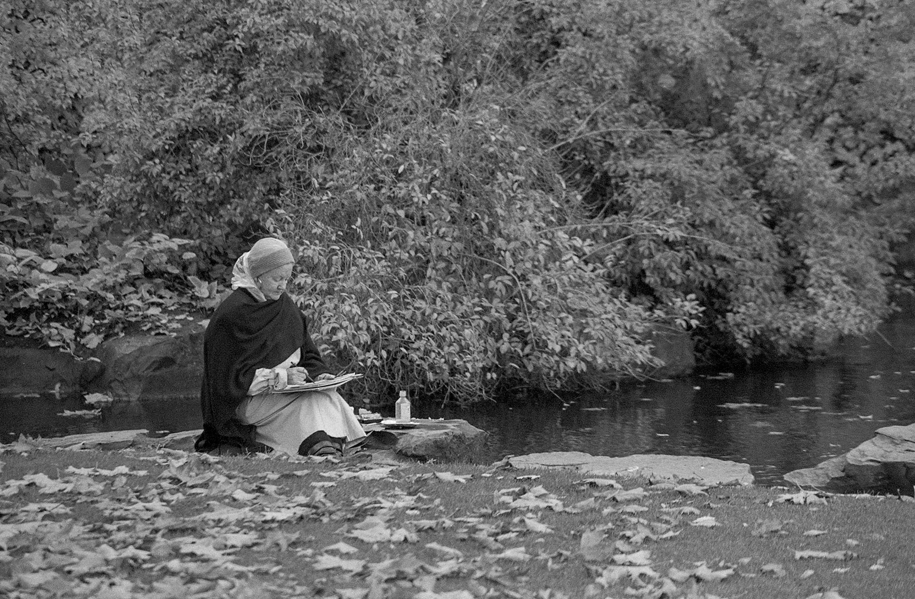 Painter, St Stephens Green