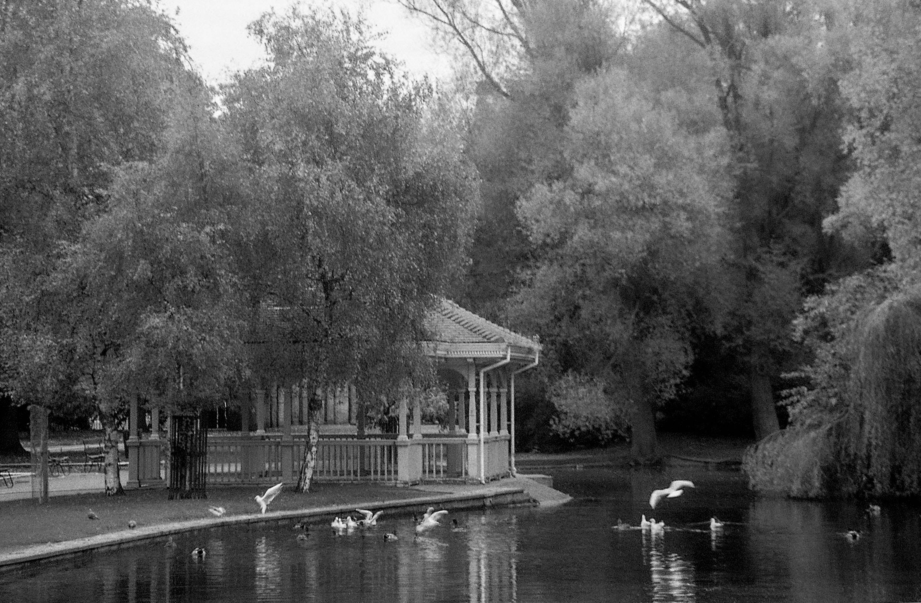 St Stephens Green