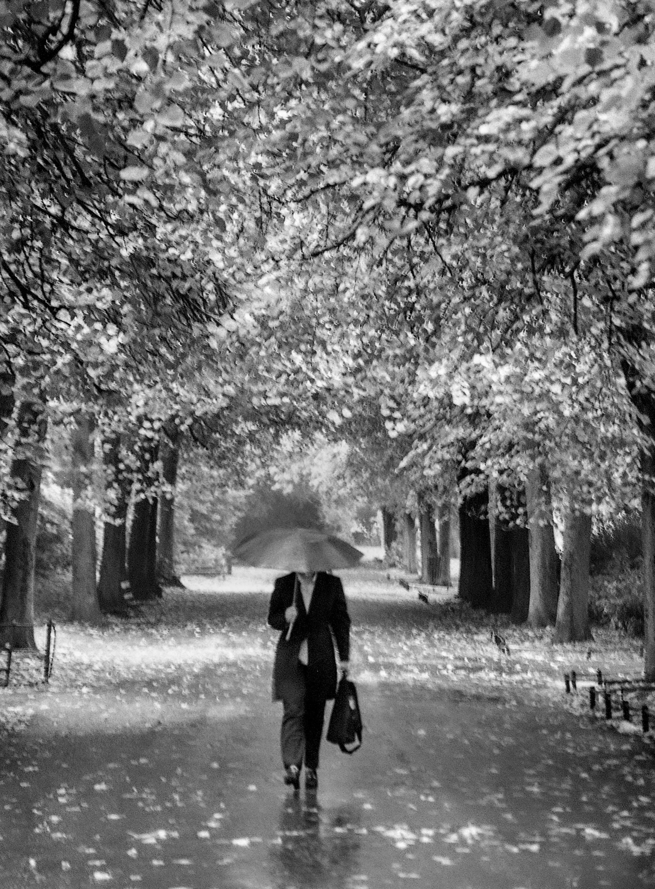 St Stephens Green