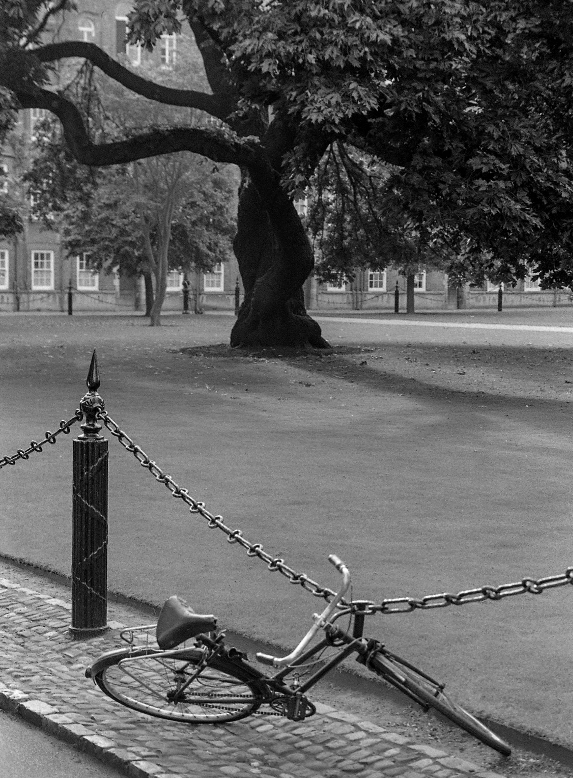 Trinity College