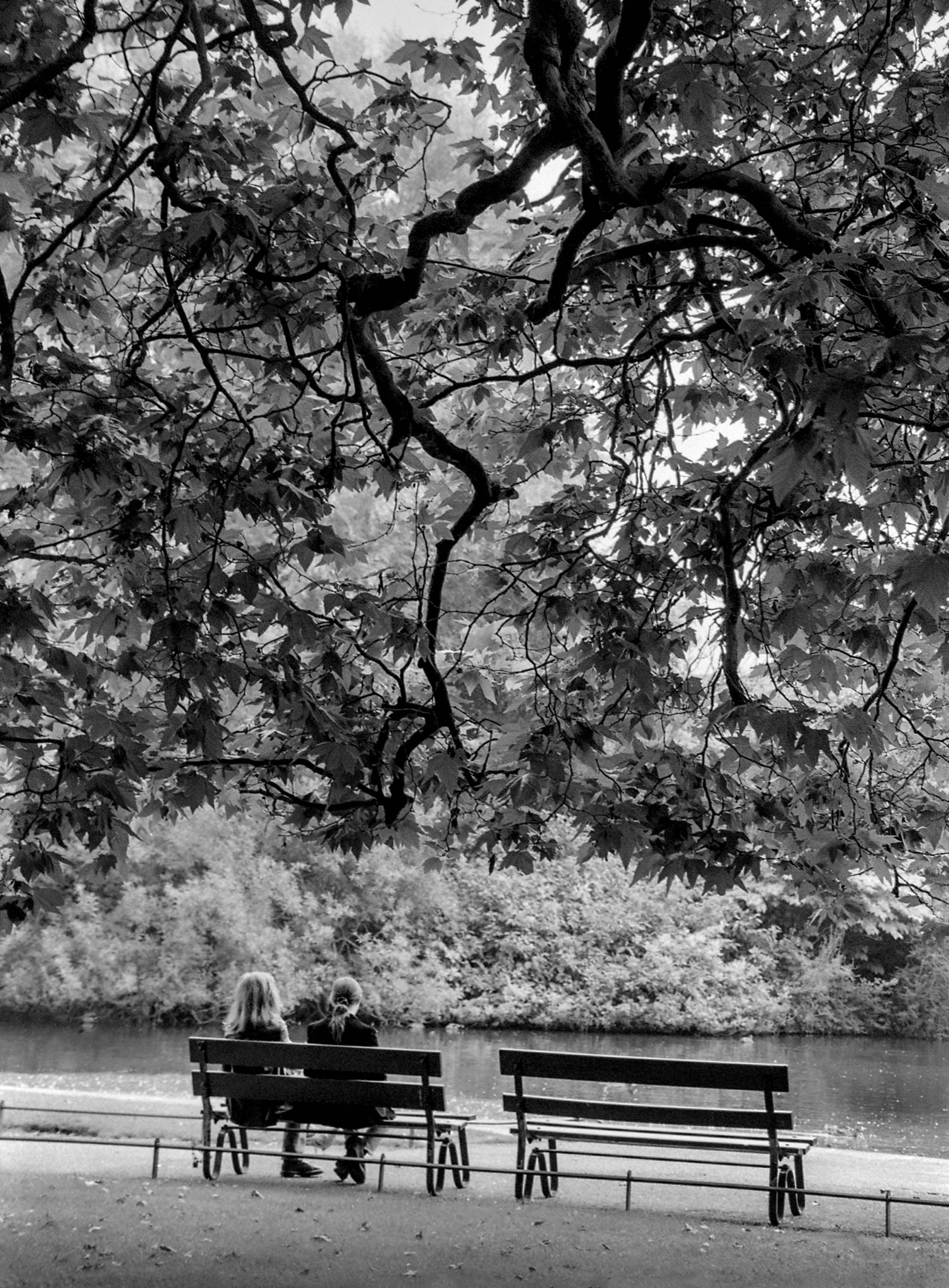 St Stephens Green