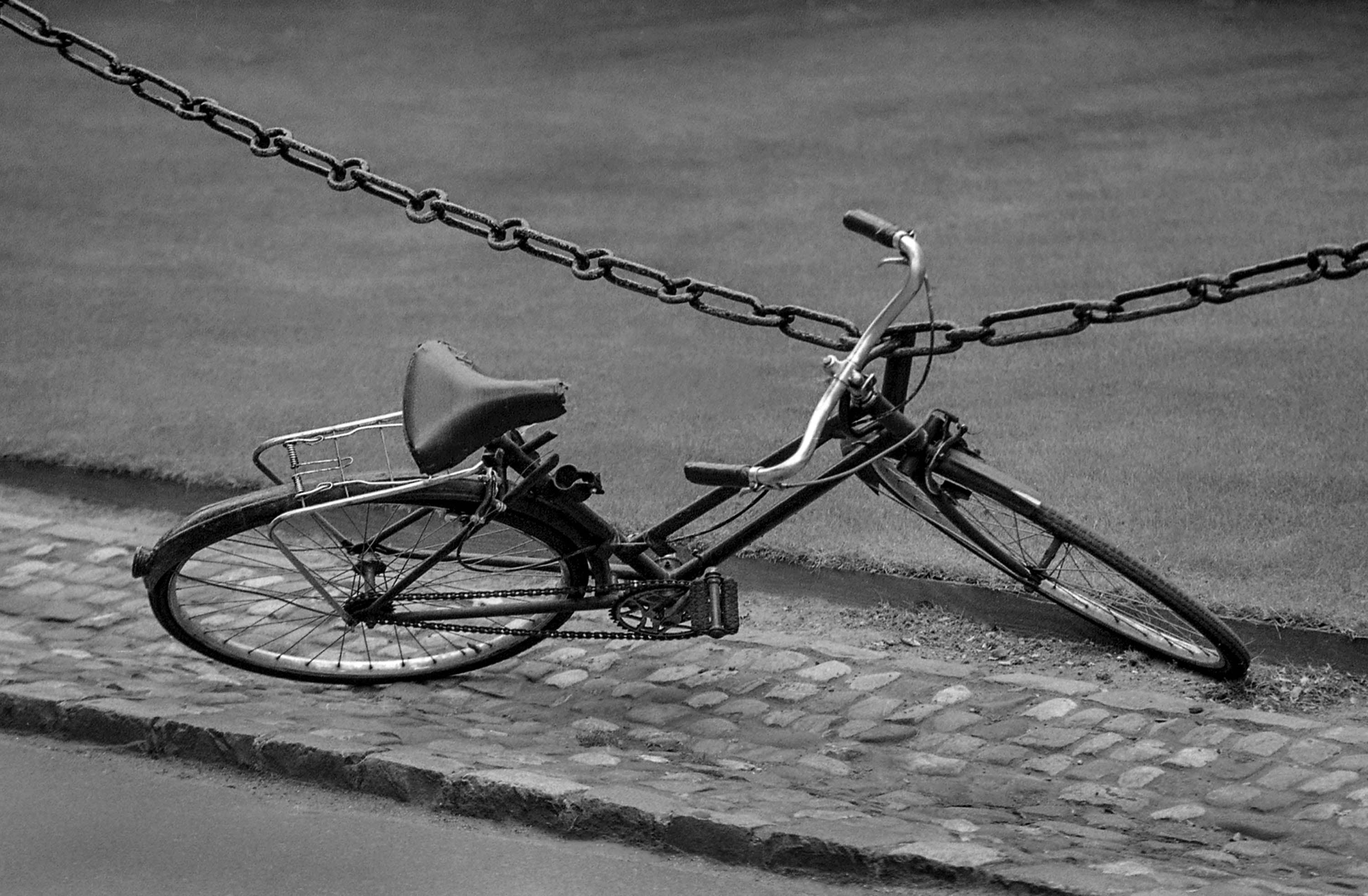 Trinity Bike