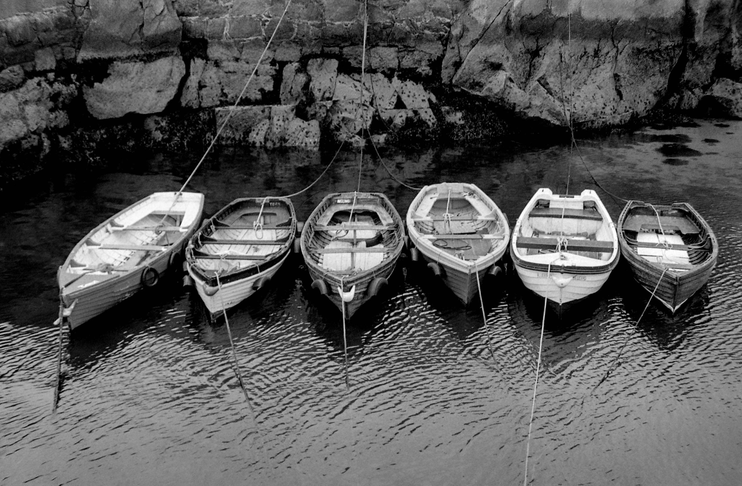 Dalky Boats