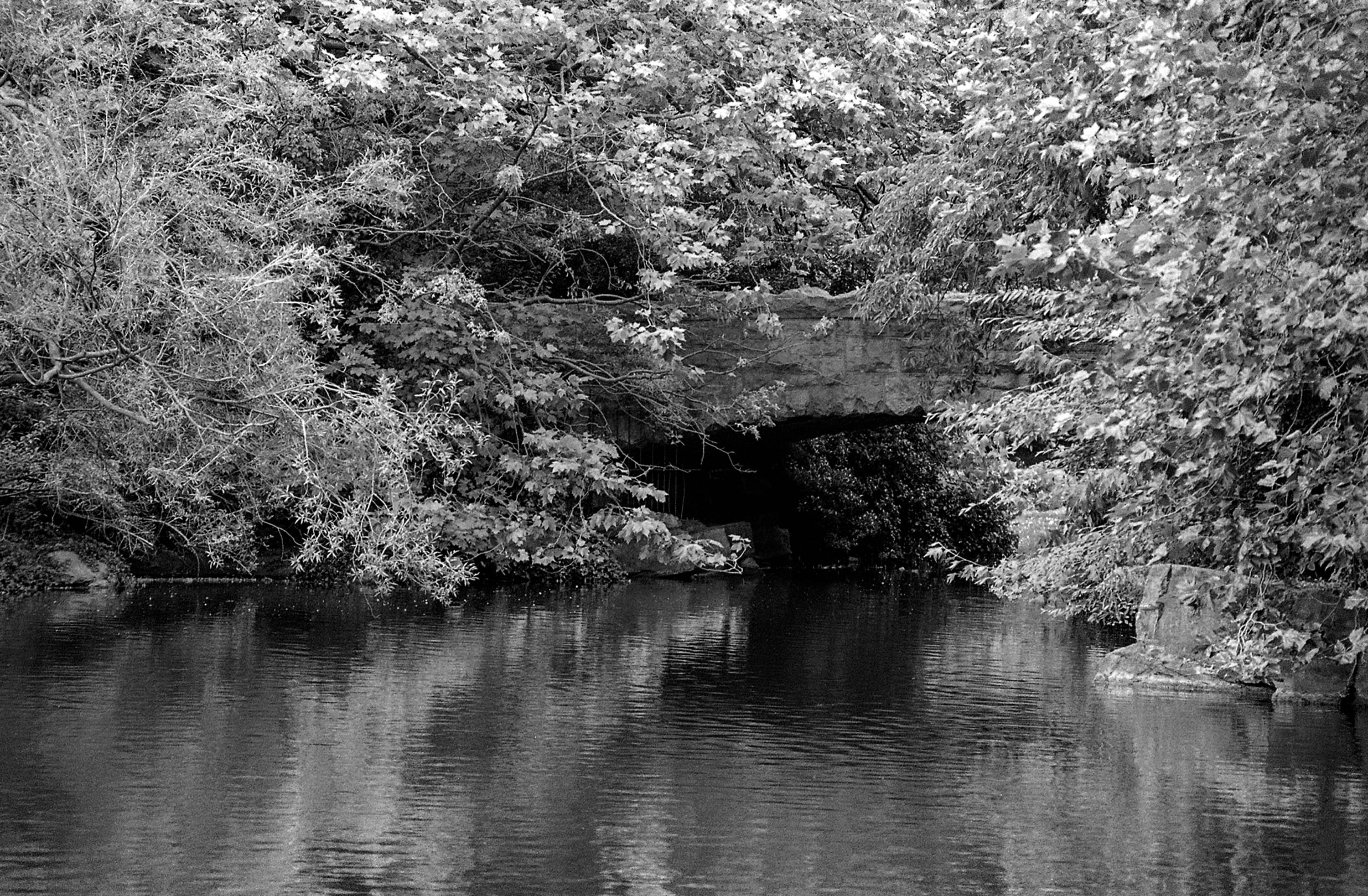 St Stephens Green
