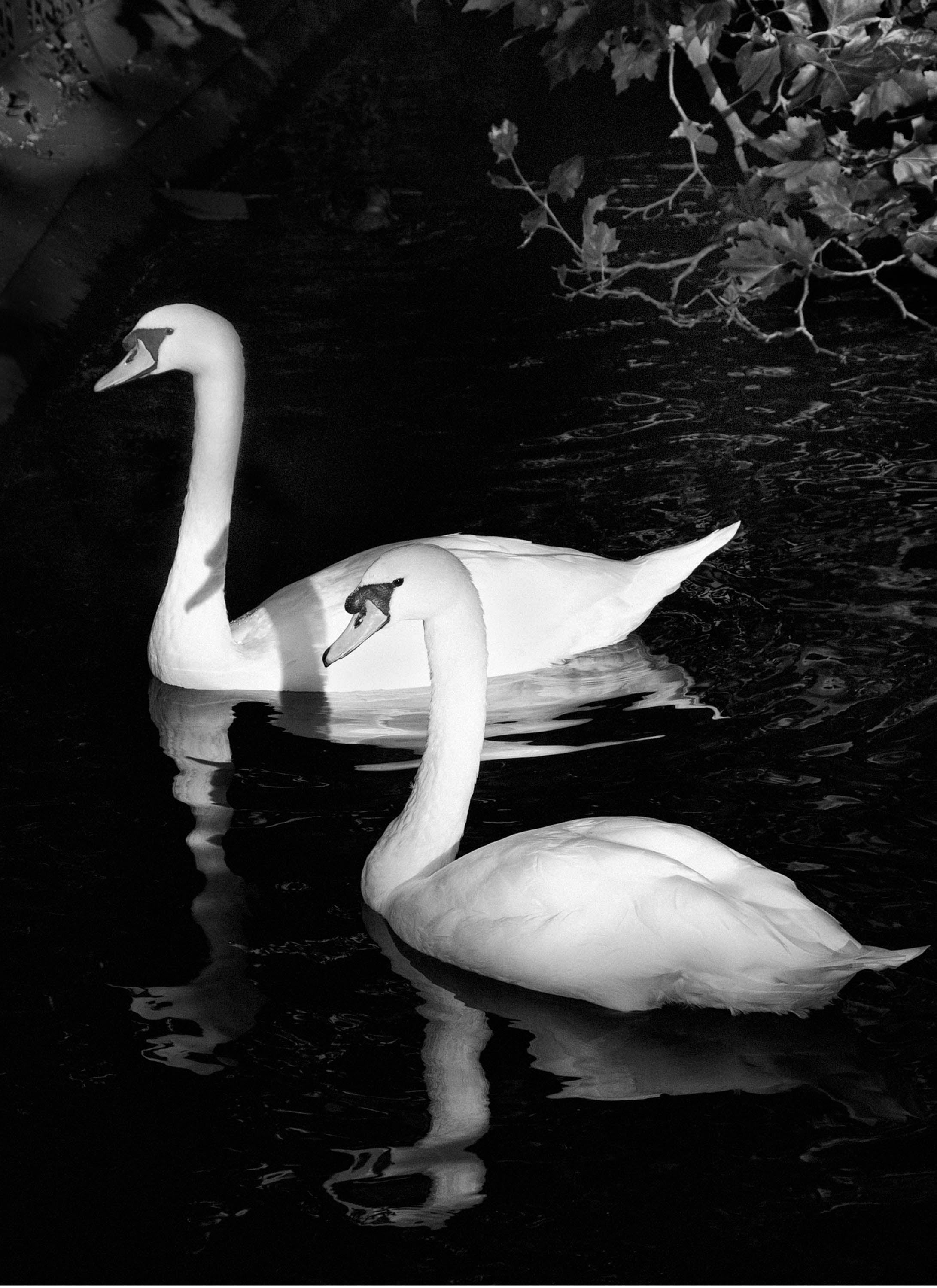 St' Stephens Green
