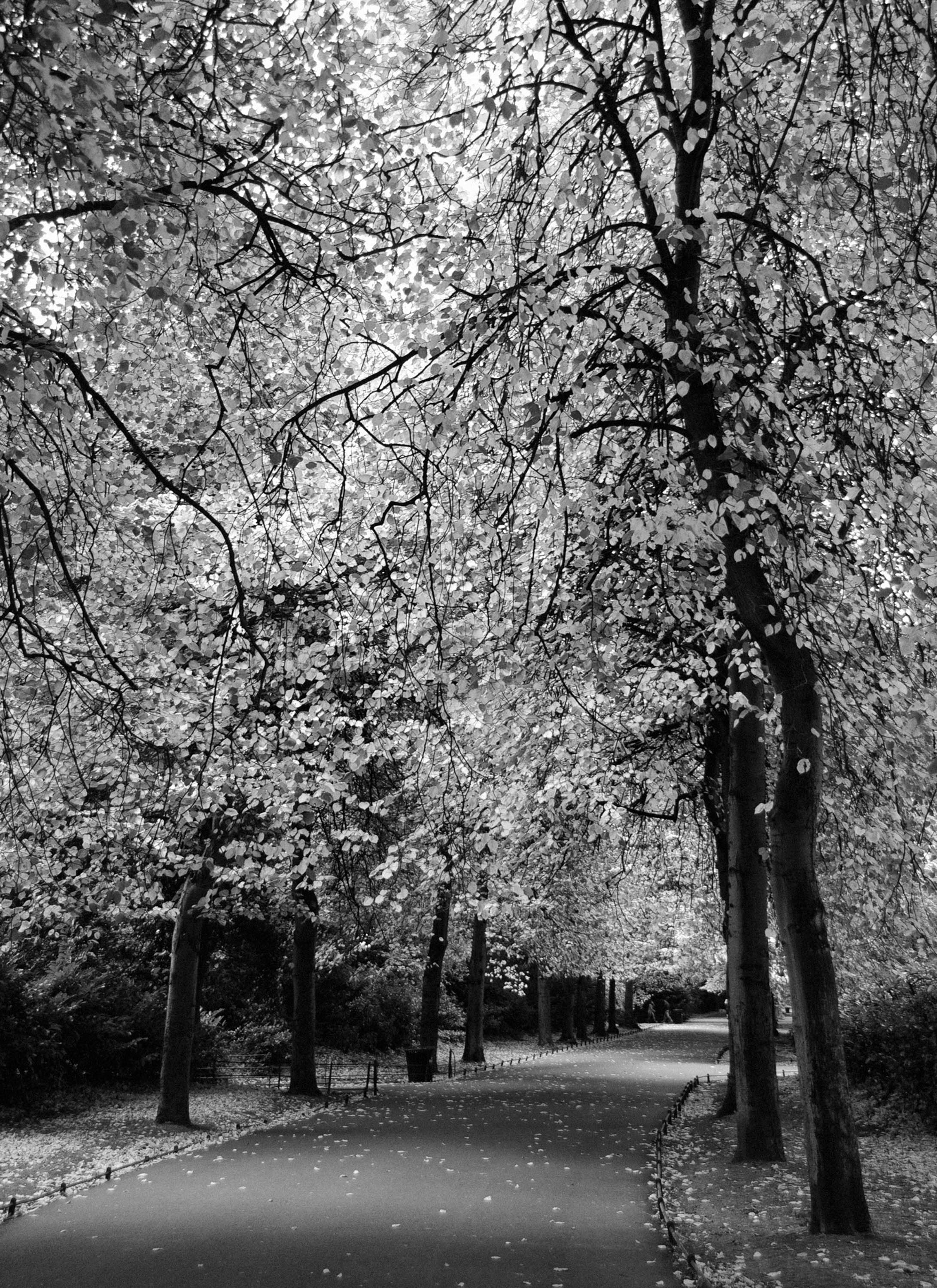 St Stephen's Green