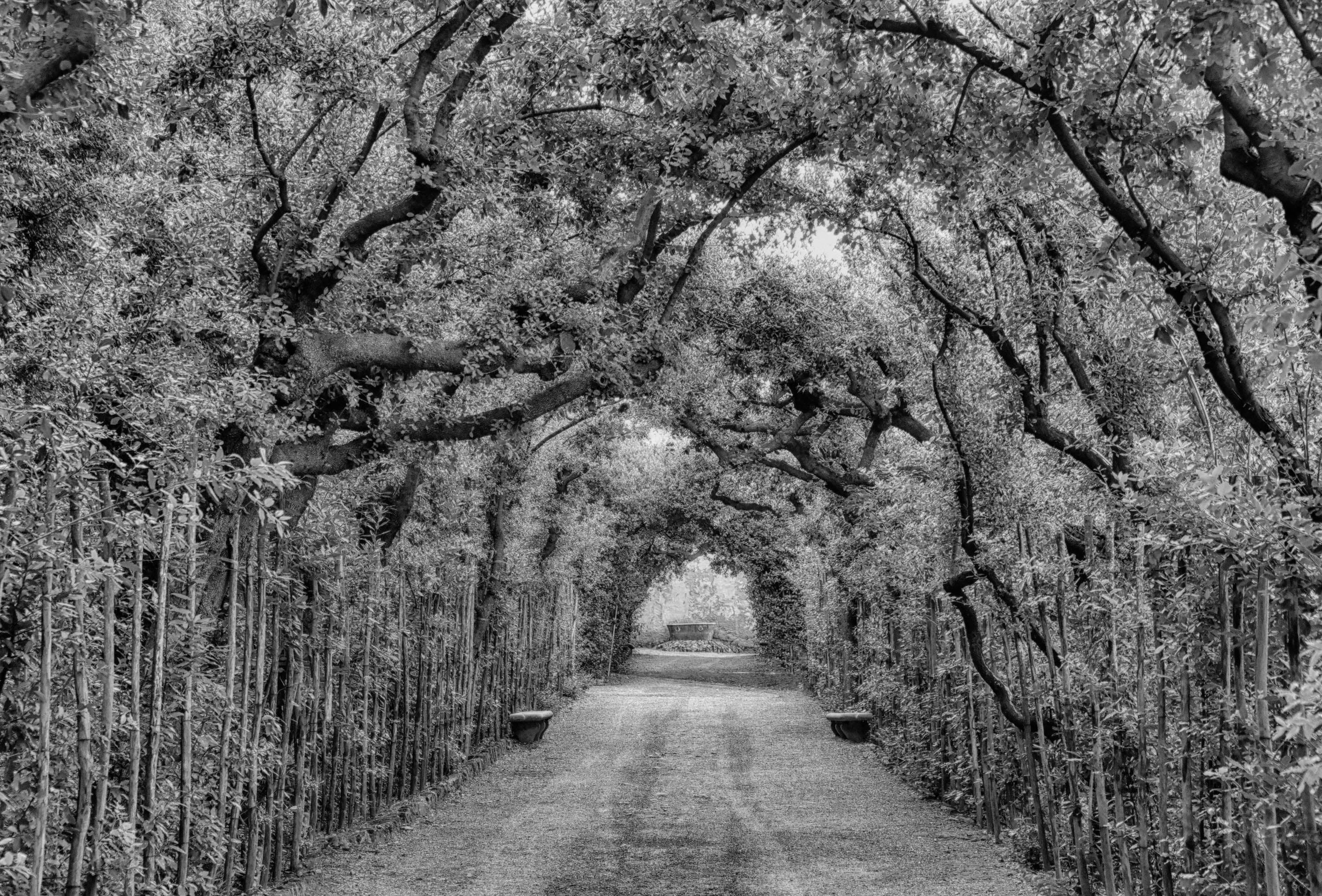 Pitti Palace