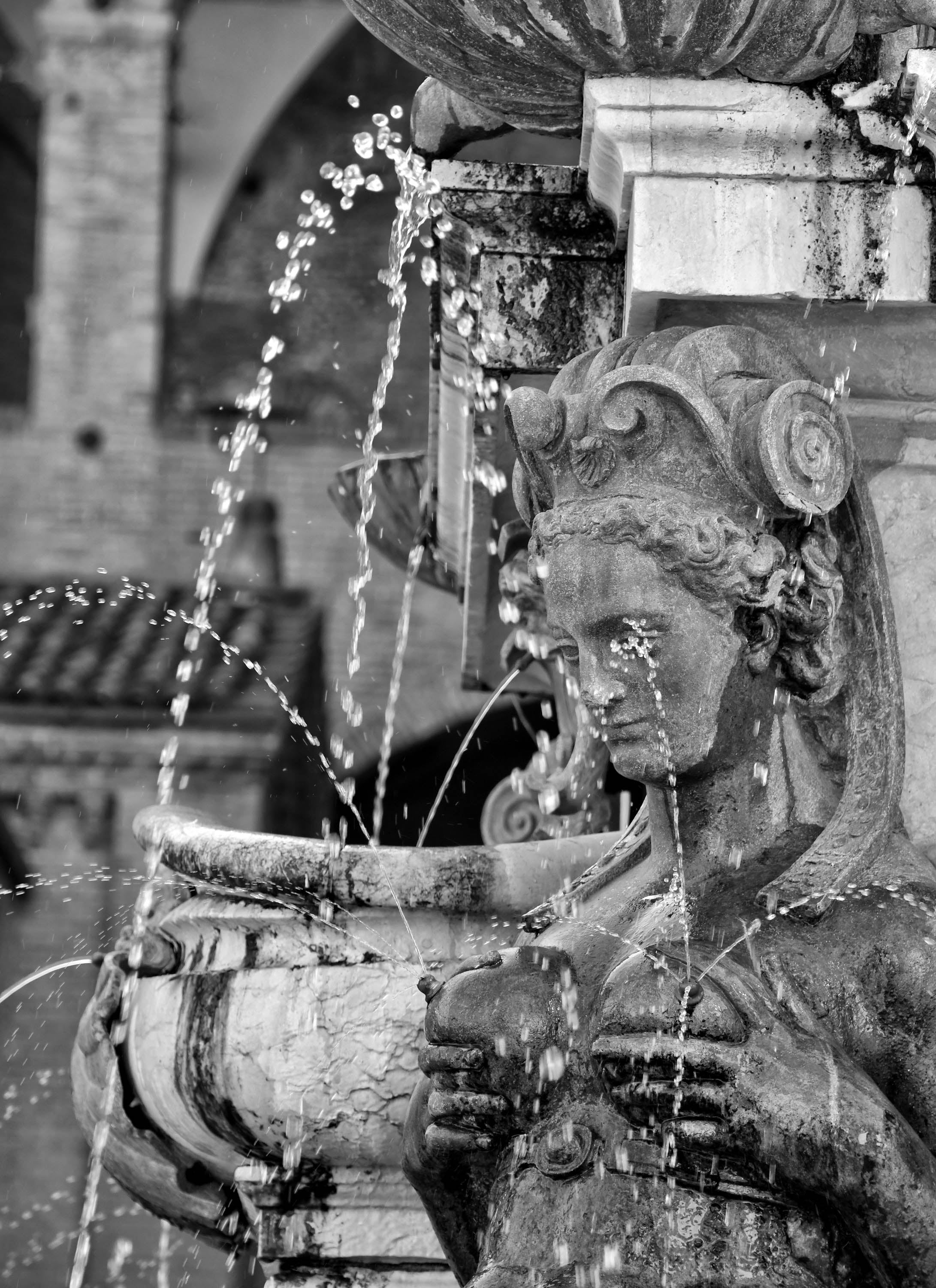Statues of Florence