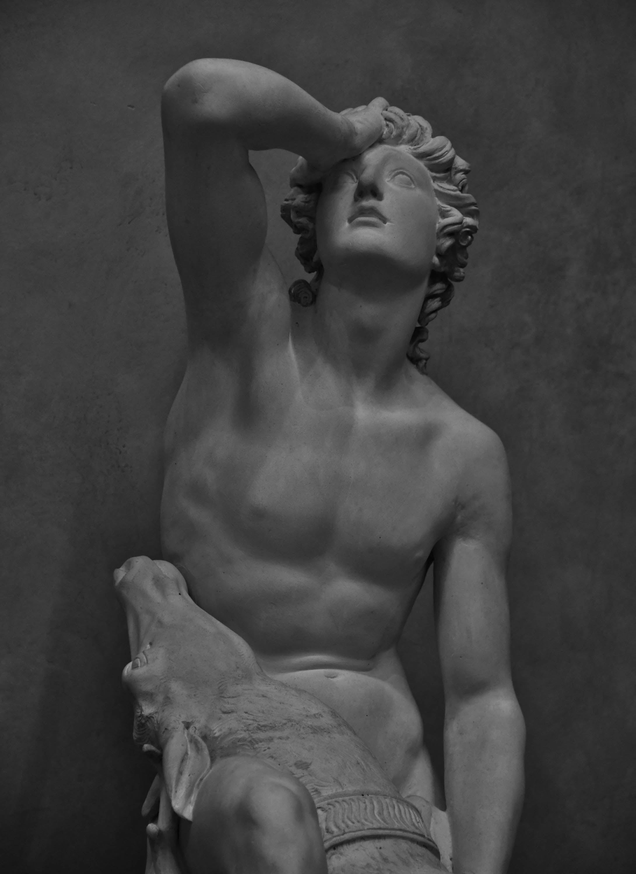 Sculptures of Florence