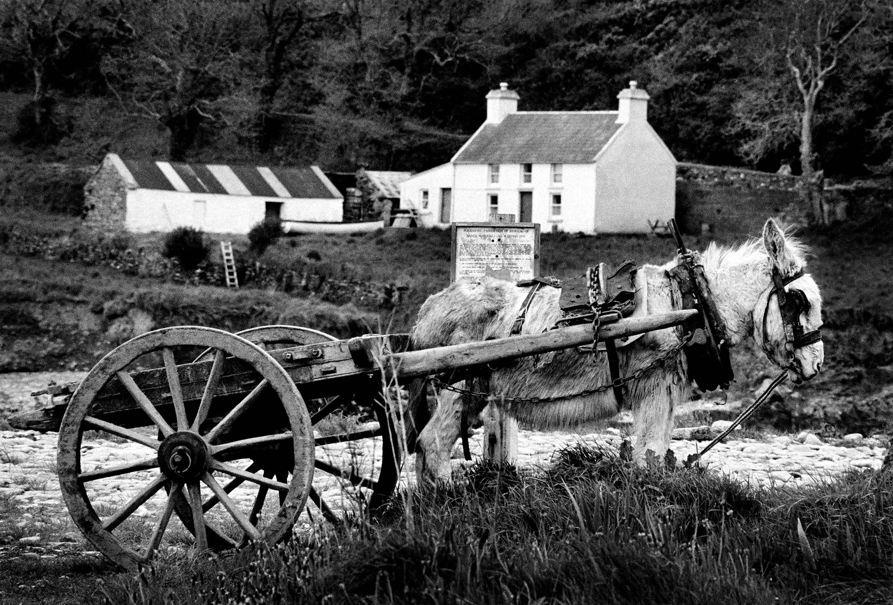 Donkeys Cart, West Cork '87 Ireland