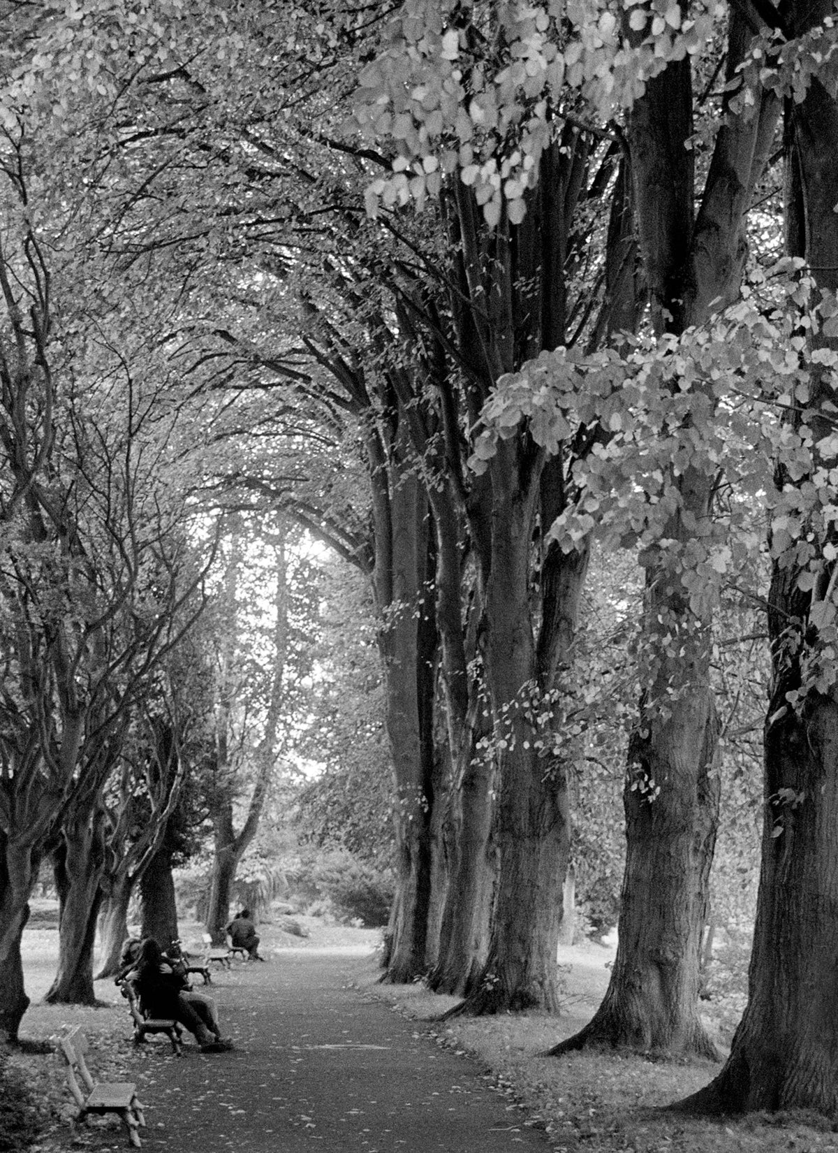 lovers '93  Cork ireland