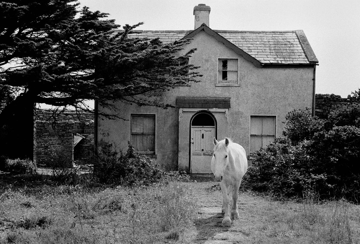 Horse & House Aran Islands '97 Ireland
