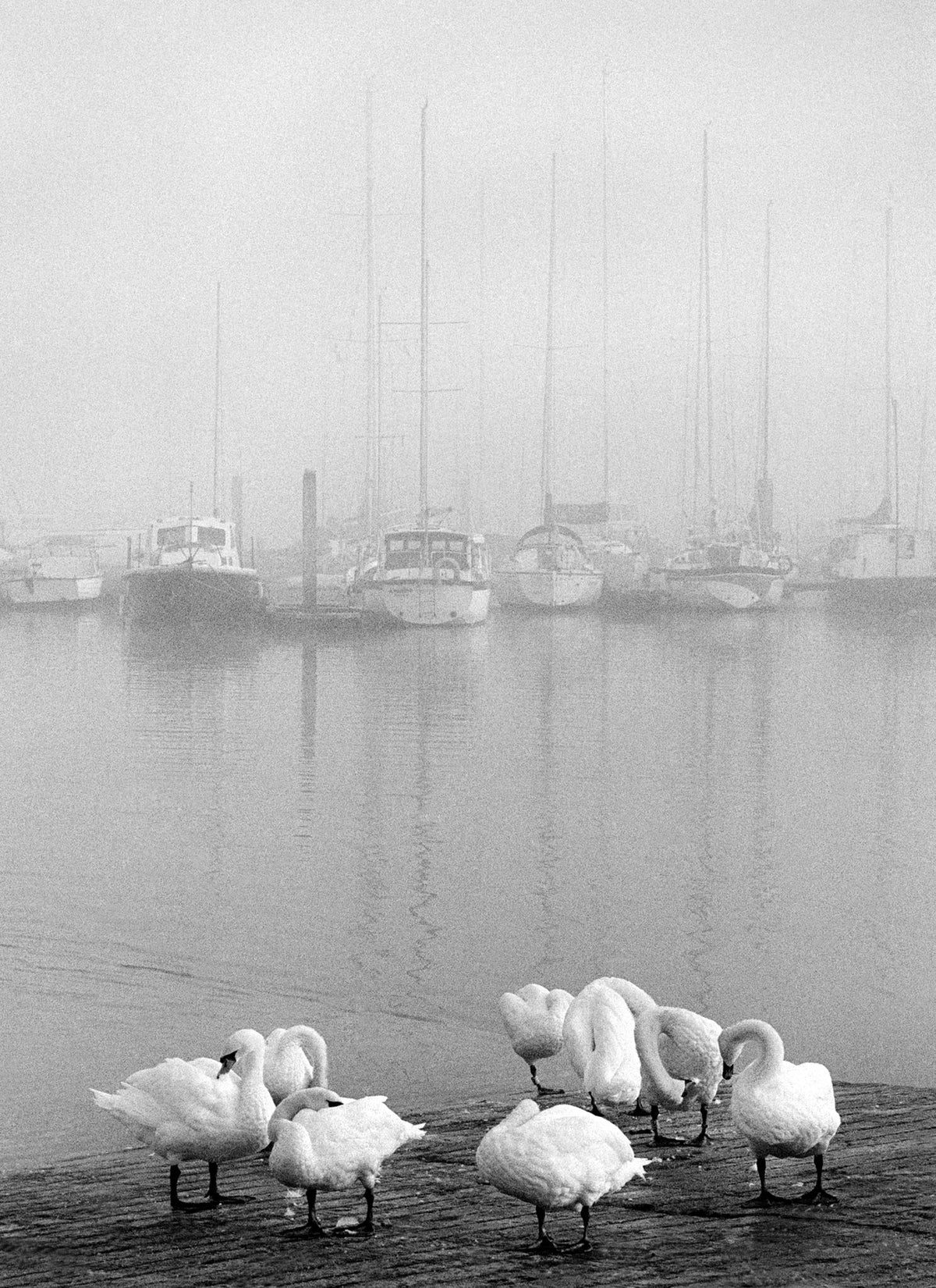 Kinsale Pier '91 Ireland