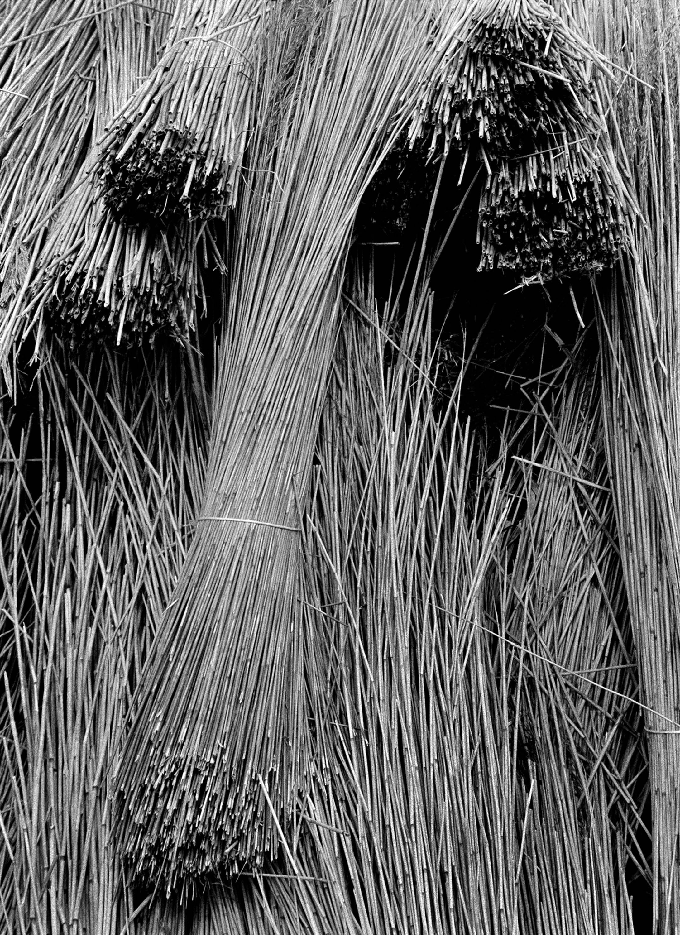 Thatch Bunratty Castle & Folk Park '94 Clare Ireland