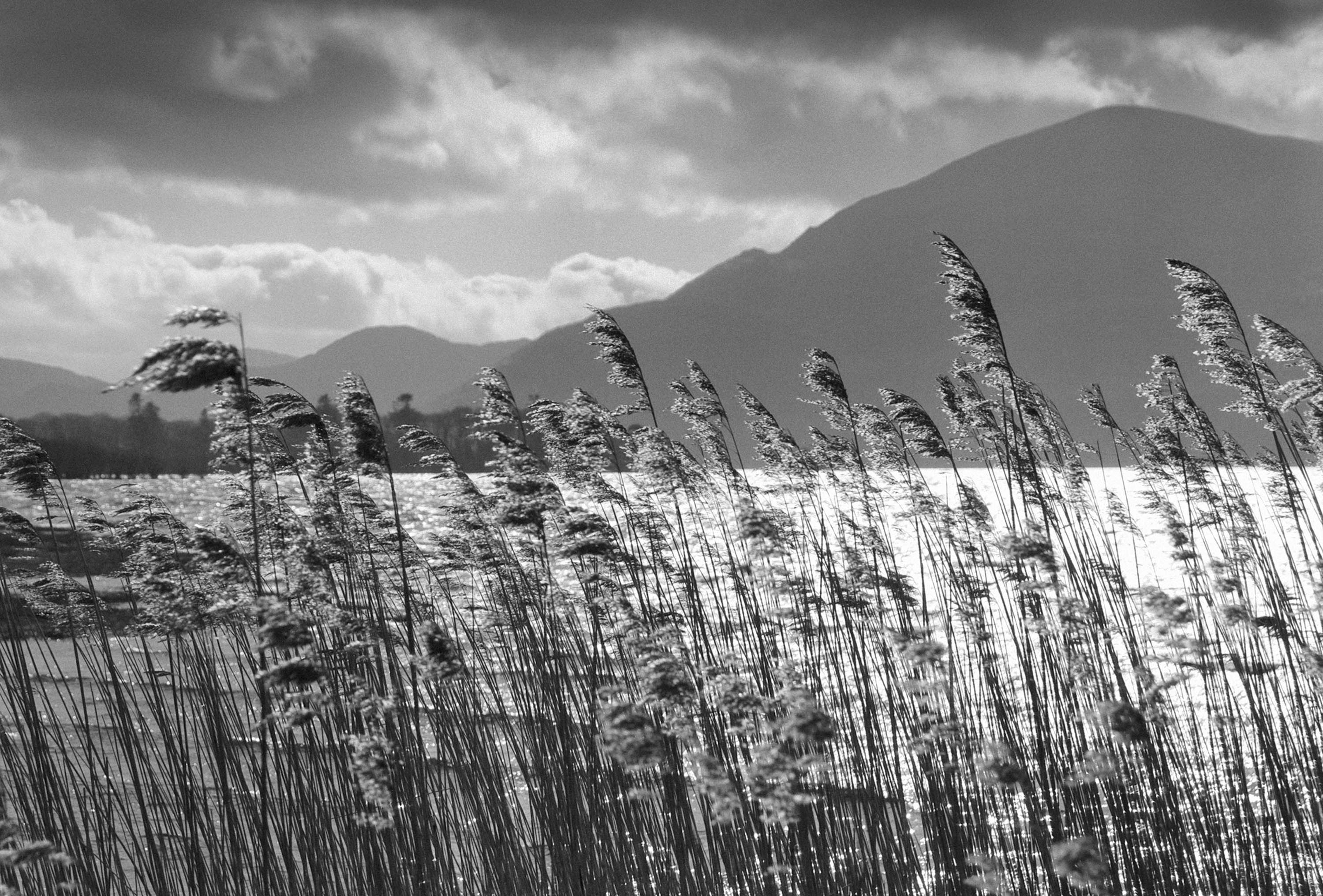 Killarney Lakes 