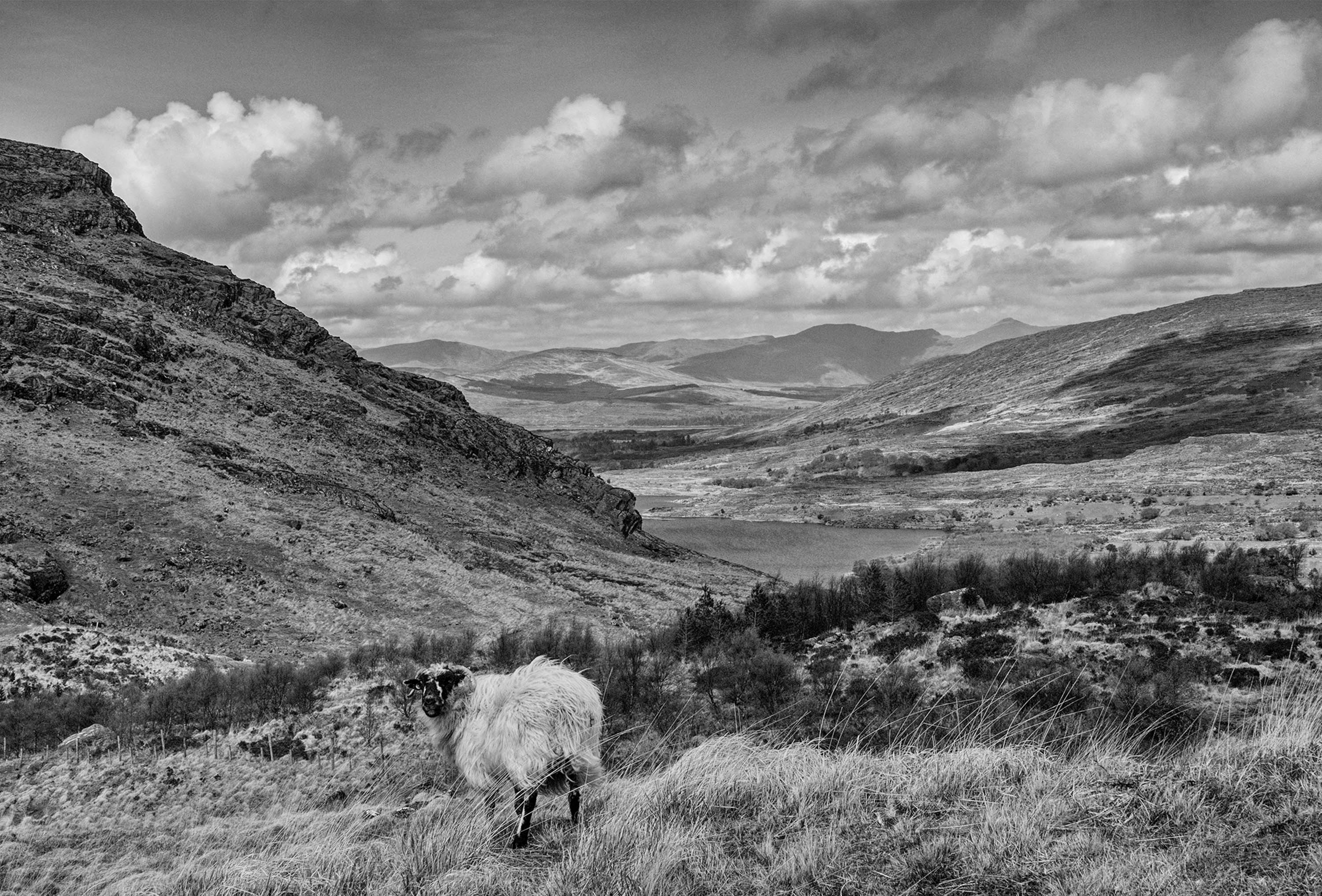  Gleninchaquin