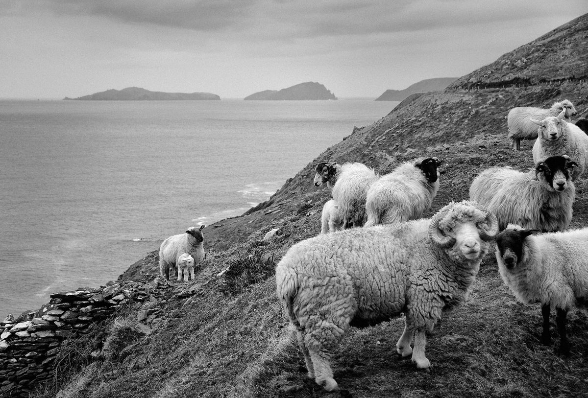 Slea Head