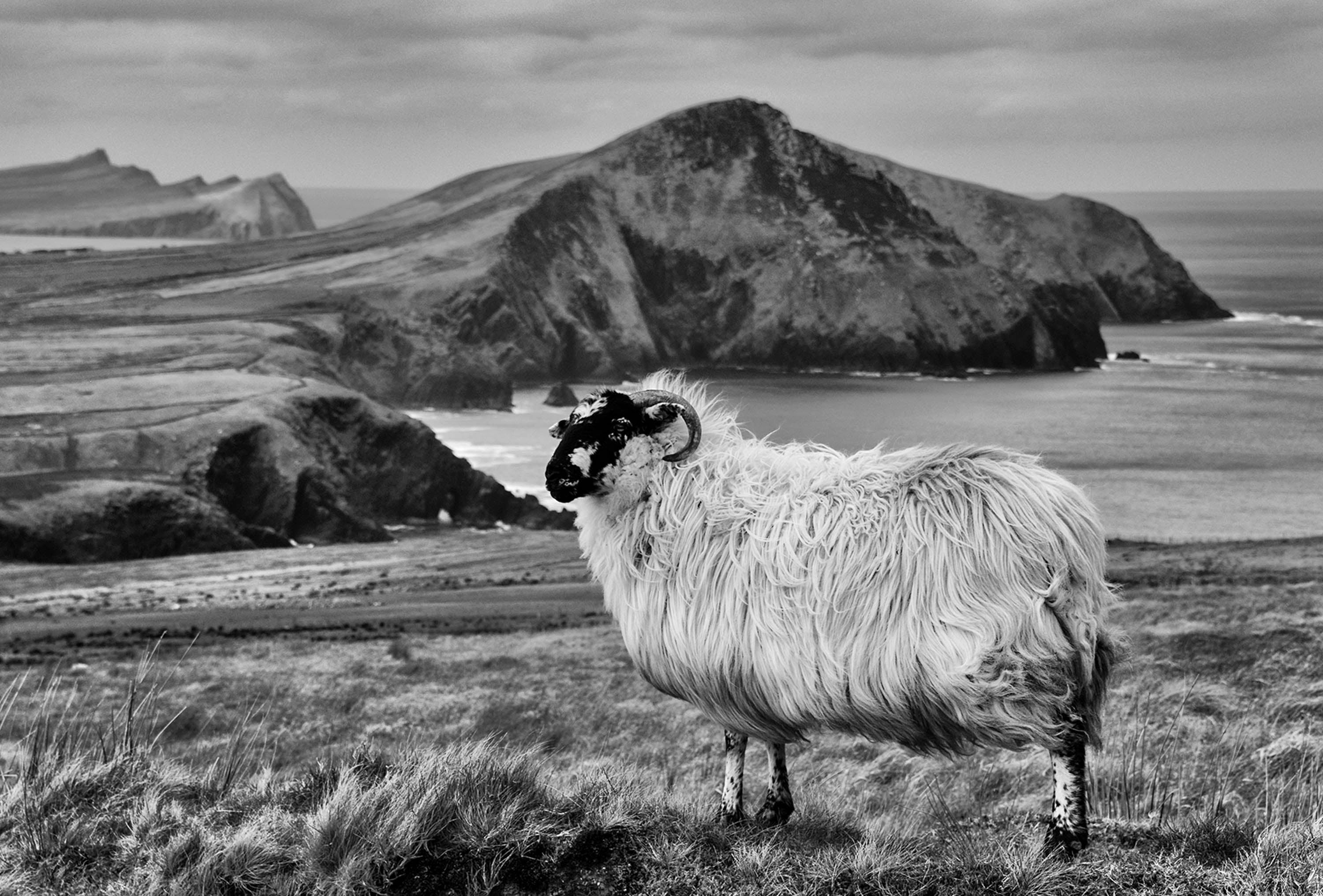 Dingle Peninsula