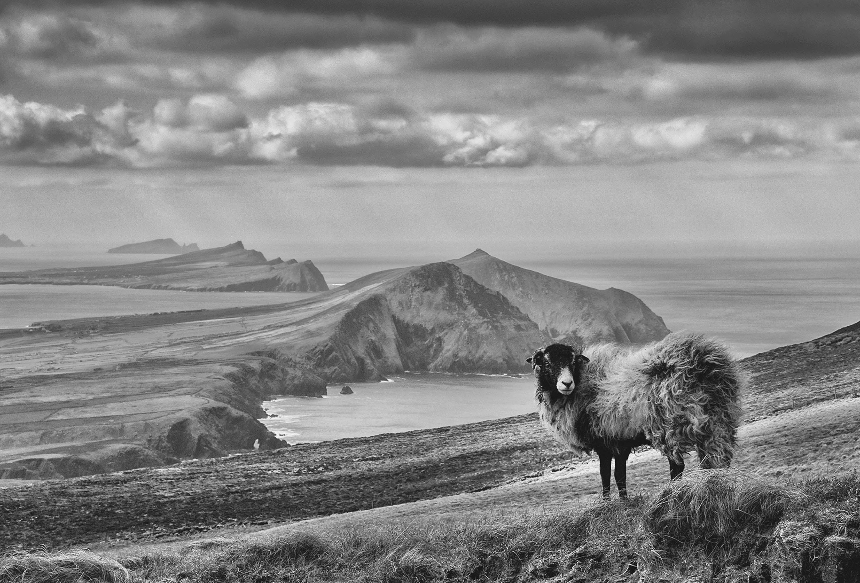 Three Sisters