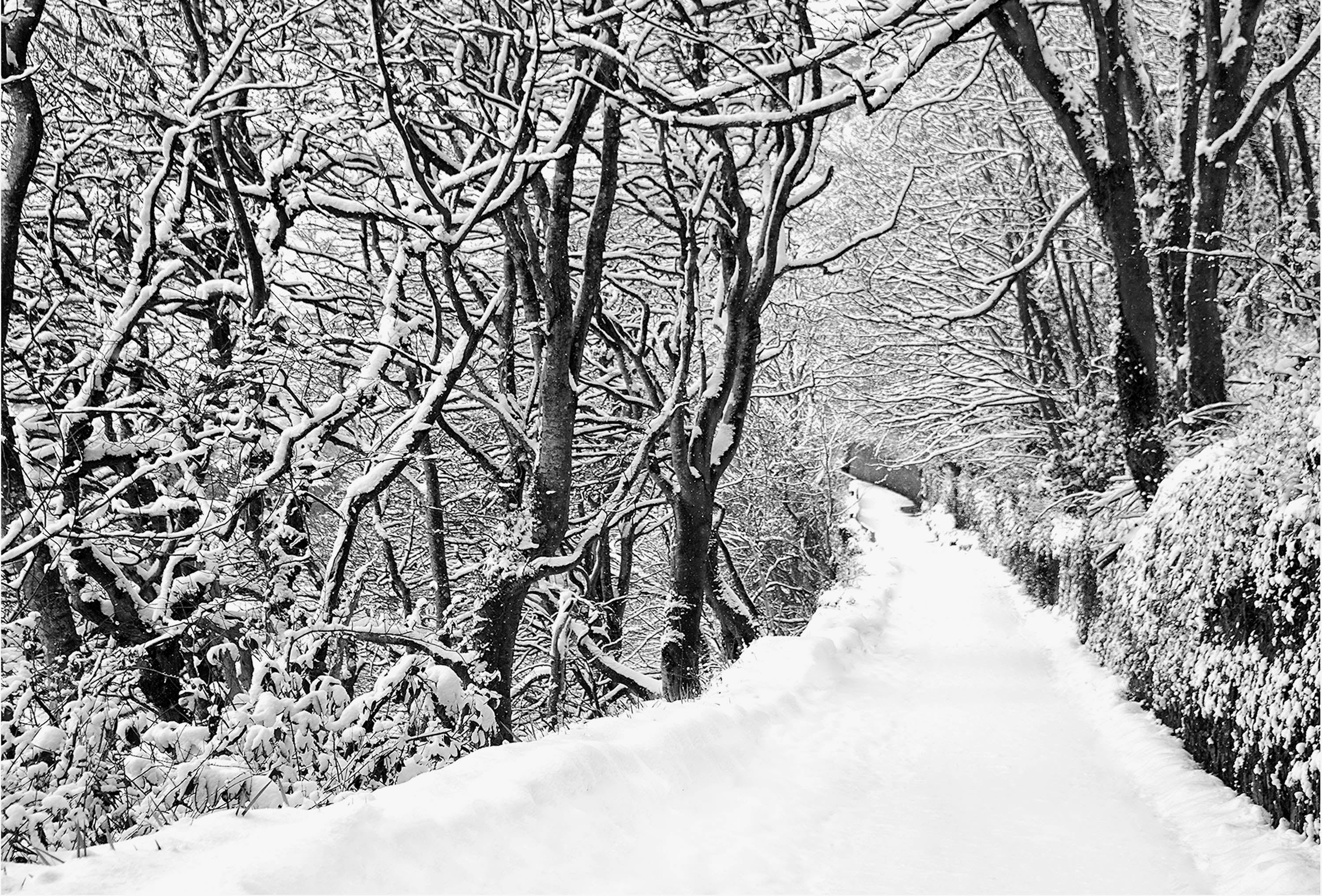 The lower road Kinsale under snow 2018 Ireland