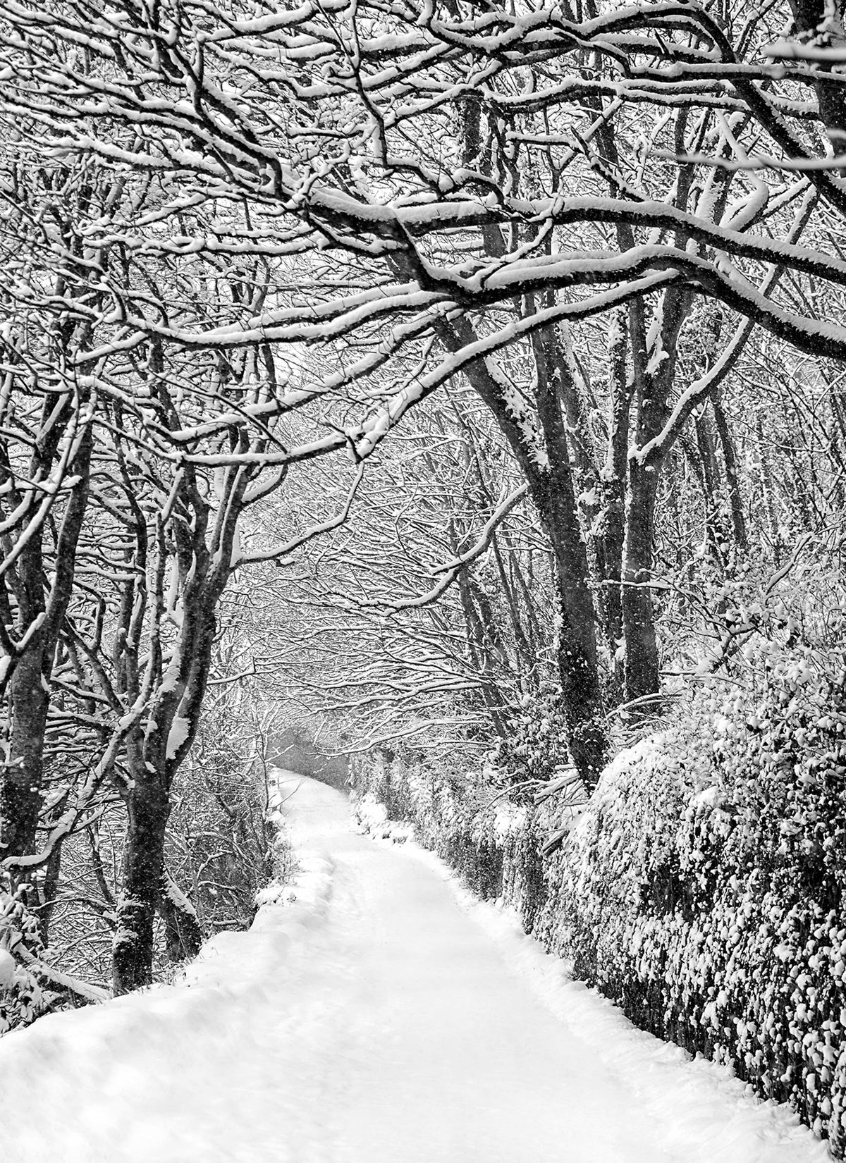 Lower road Kinsale Under Snow 2018 Ireland
