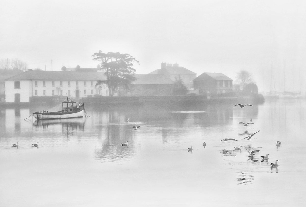 Misty Morning, Kinsale 2016 Ireland